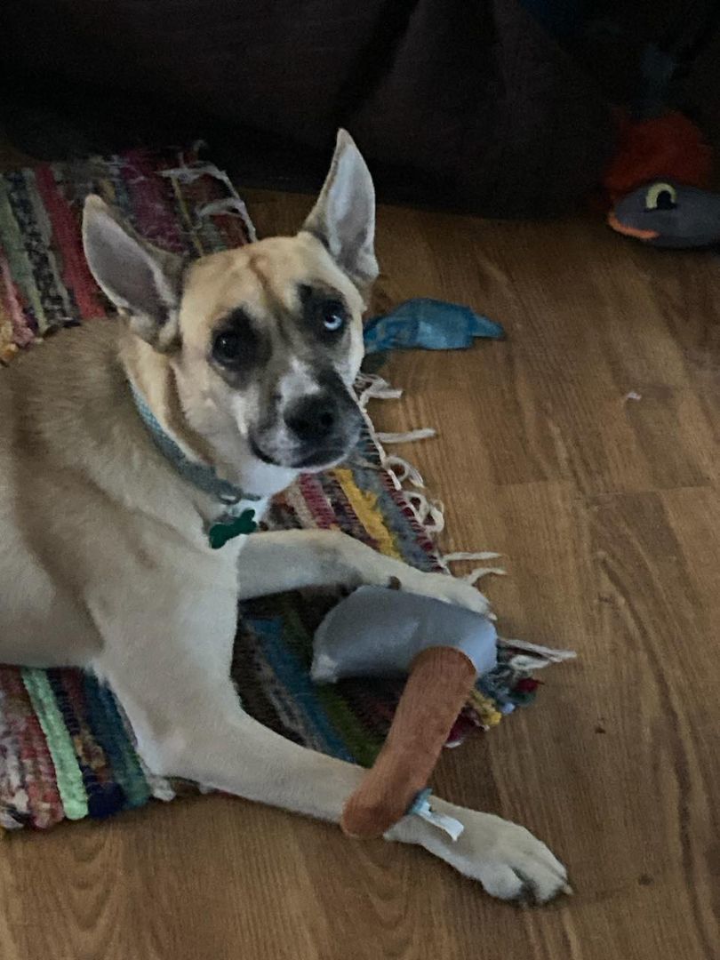 Drake — thumbnail 4