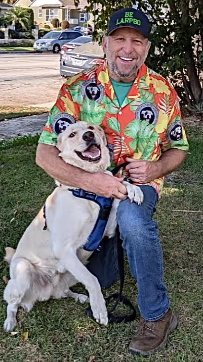 Kimba, a Adoptable mixed breed in Studio City, CA image 3/6