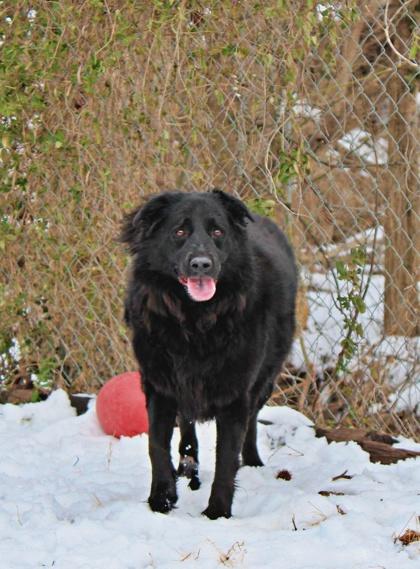 Kallie — thumbnail 2