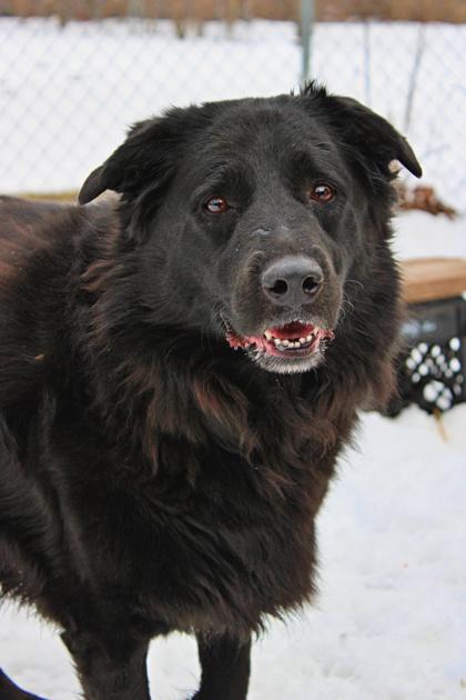 Kallie — thumbnail 3