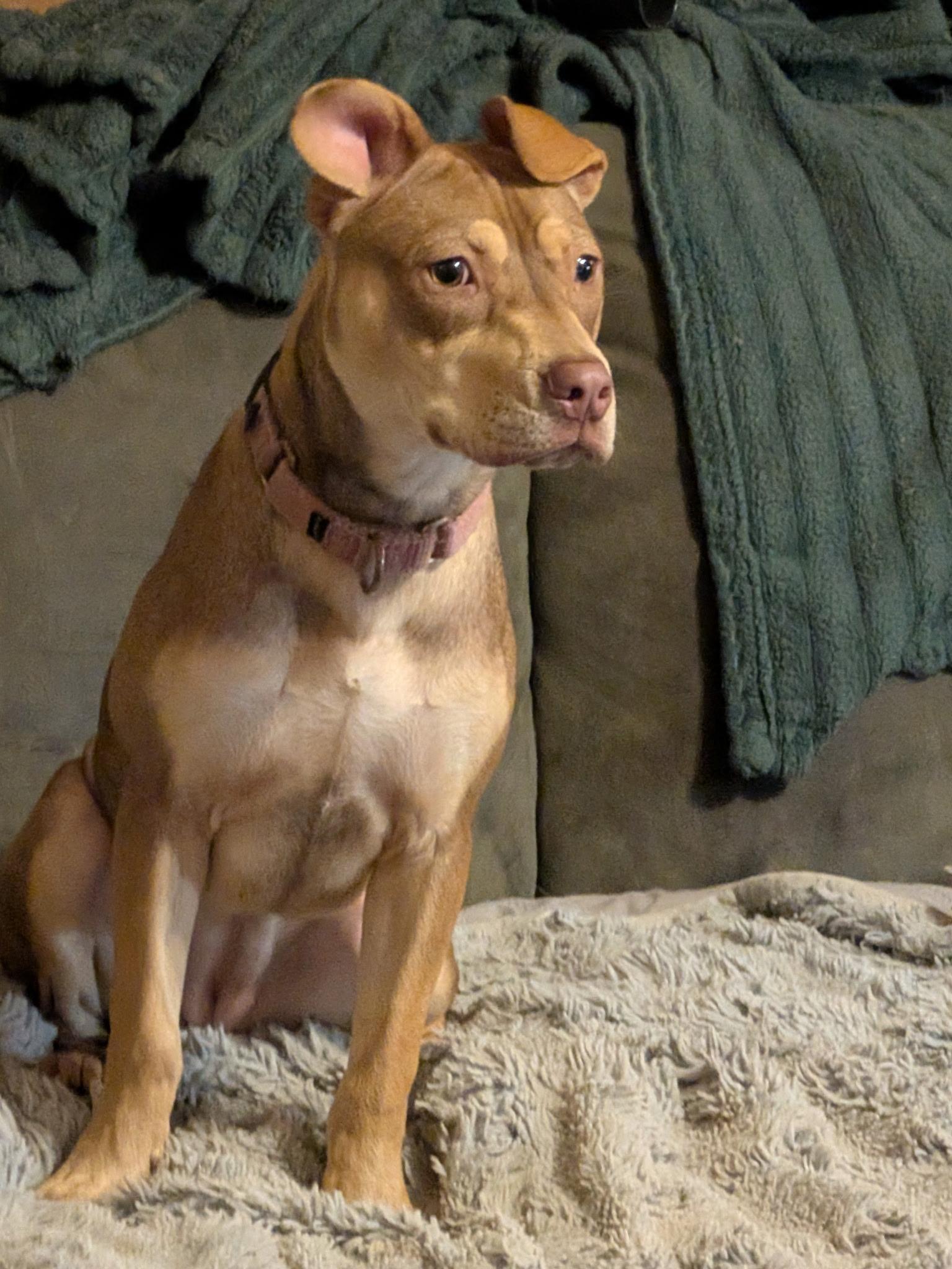 Claiborne (In Foster)