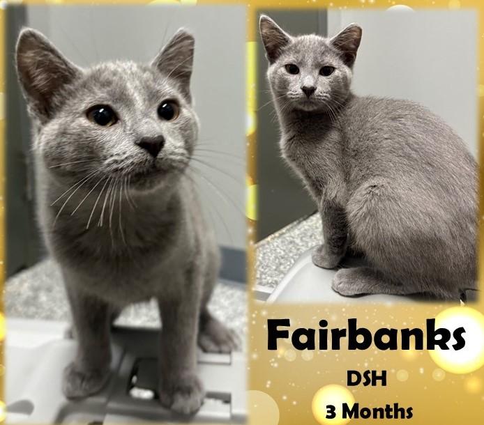 Fairbanks