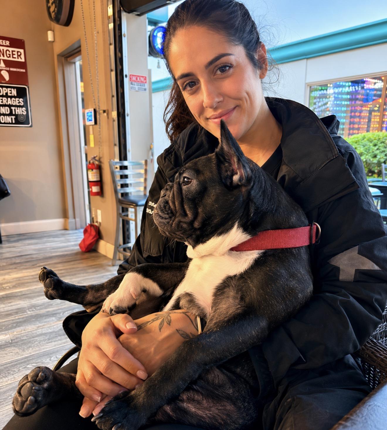 Enlarge Einstein, a Adoptable French Bulldog in PALM BAY, FL image 2/2