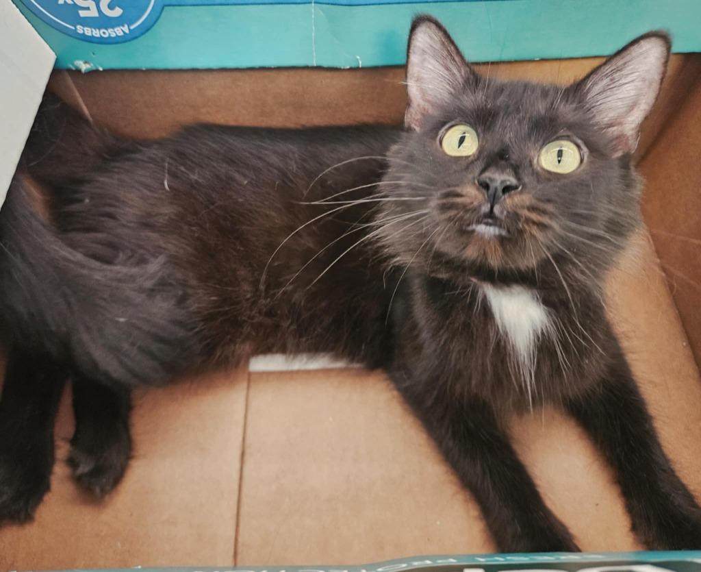 Tinkerbell thumbnail 2