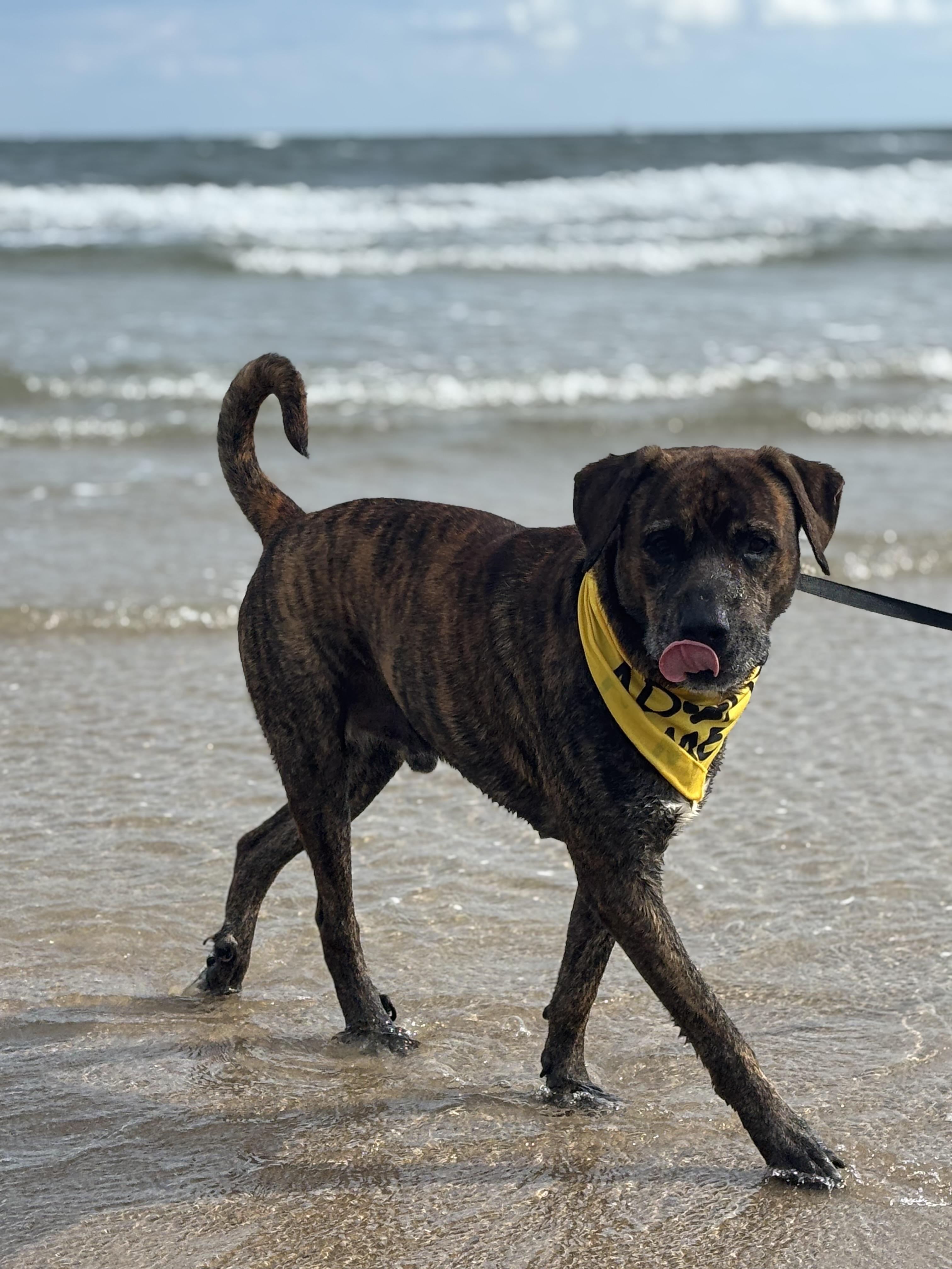 Uncle Joe Steady Eddie — thumbnail 3