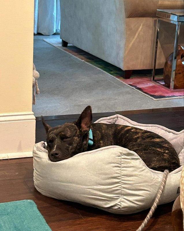 Major Payne thumbnail 3