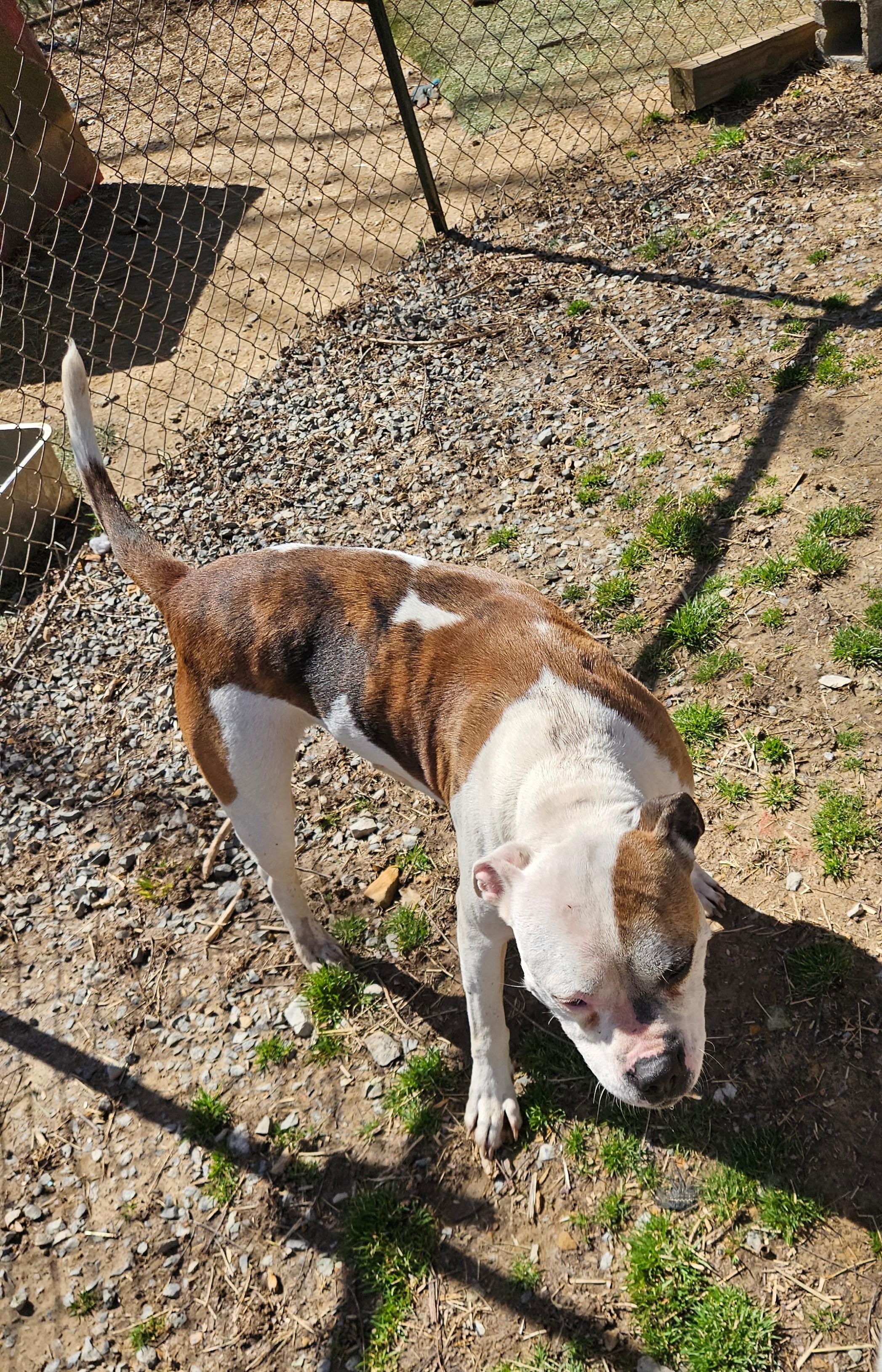 Athena — thumbnail 2