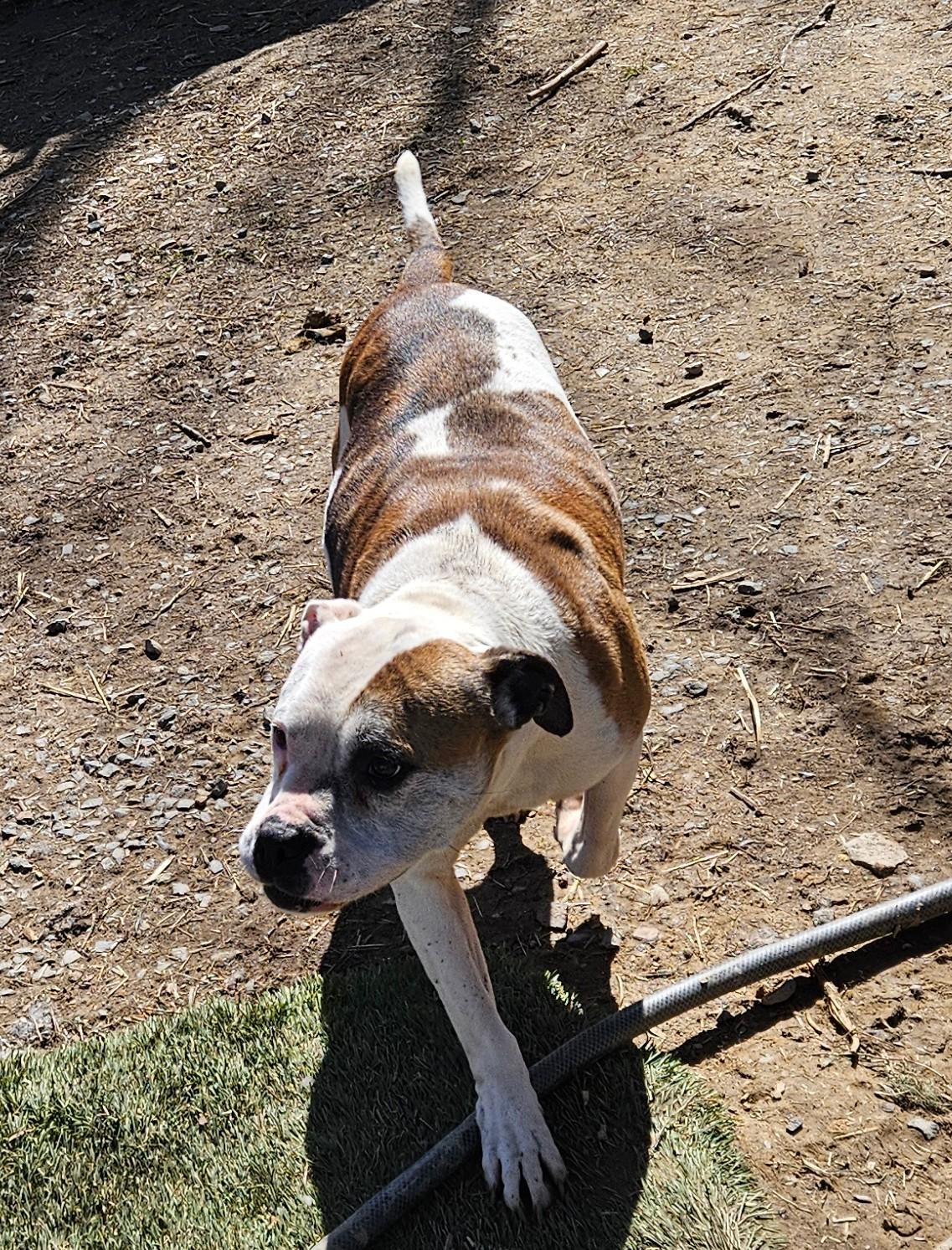 Athena — thumbnail 4