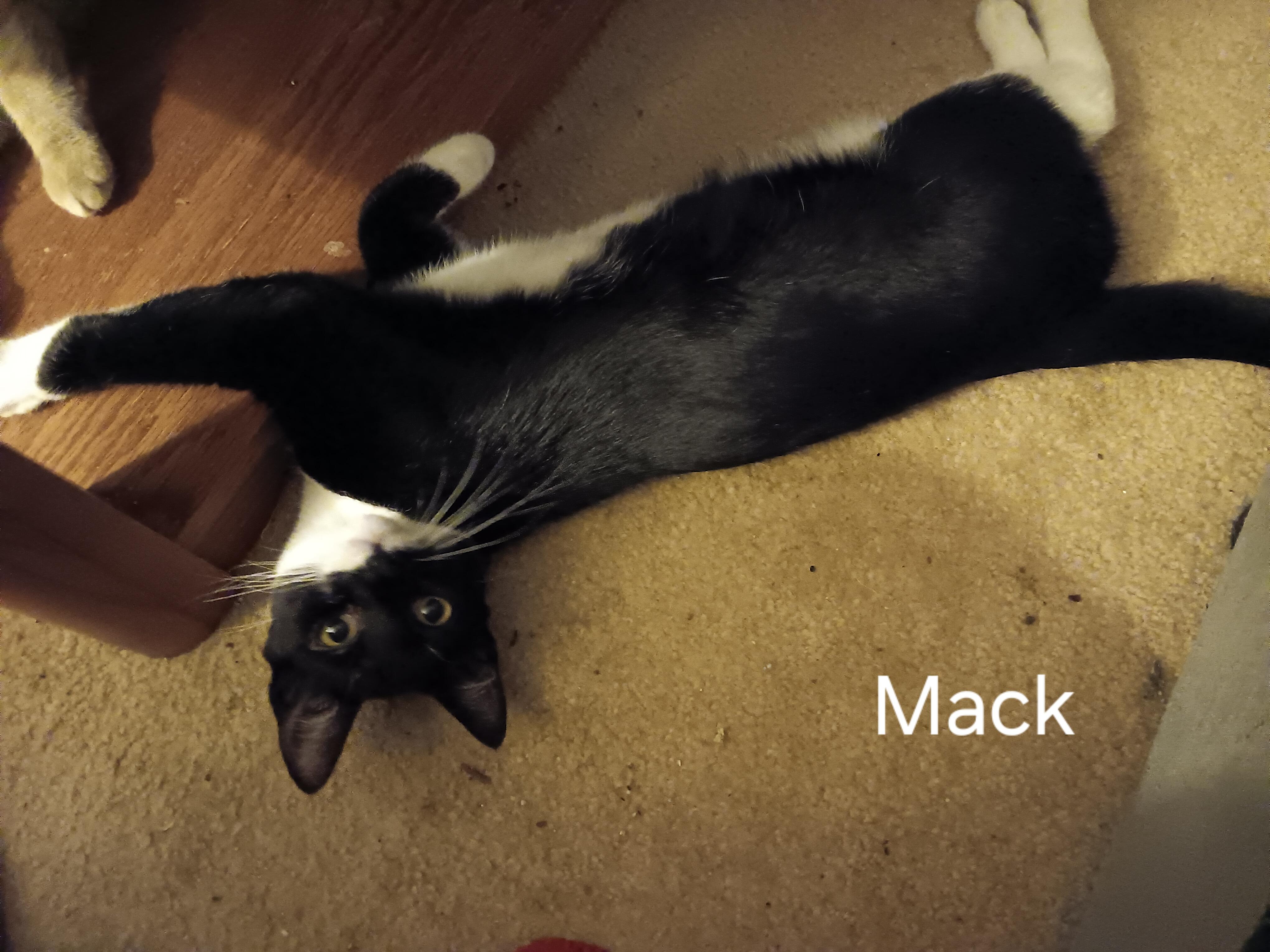 Mack