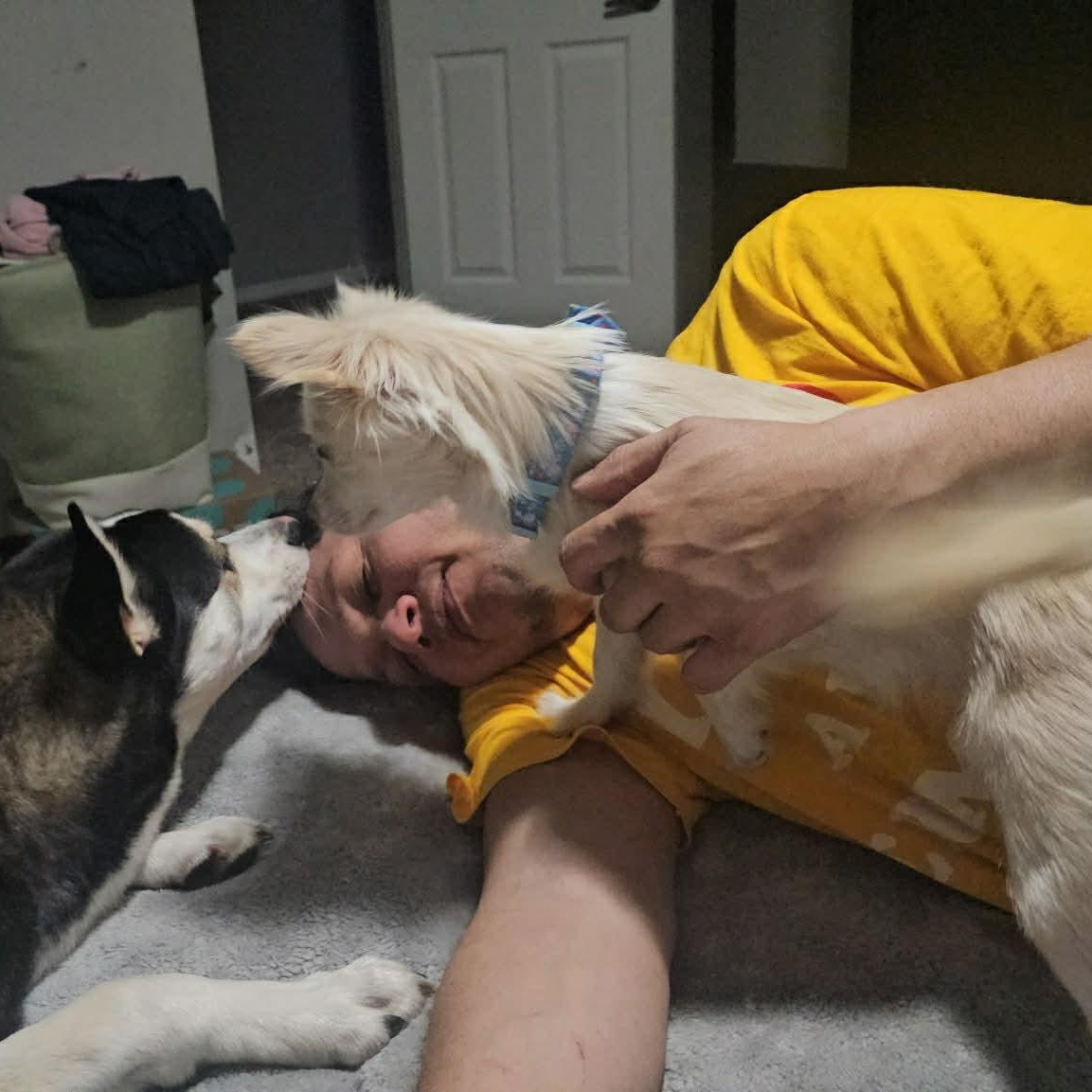 Enlarge Vanilla Bean, an adopted mixed breed in Oklahoma City, OK image 4/6