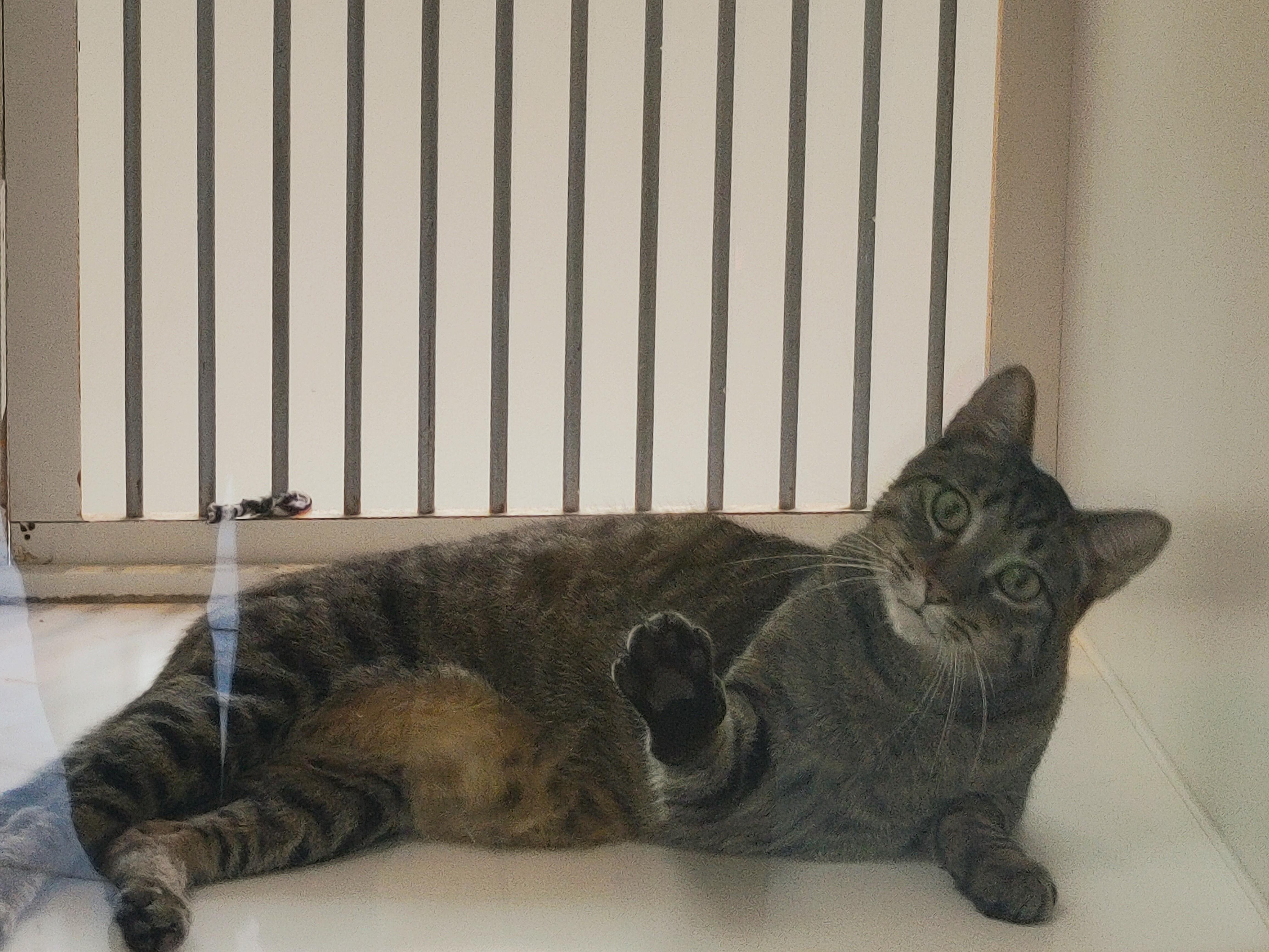 Marco photo 2