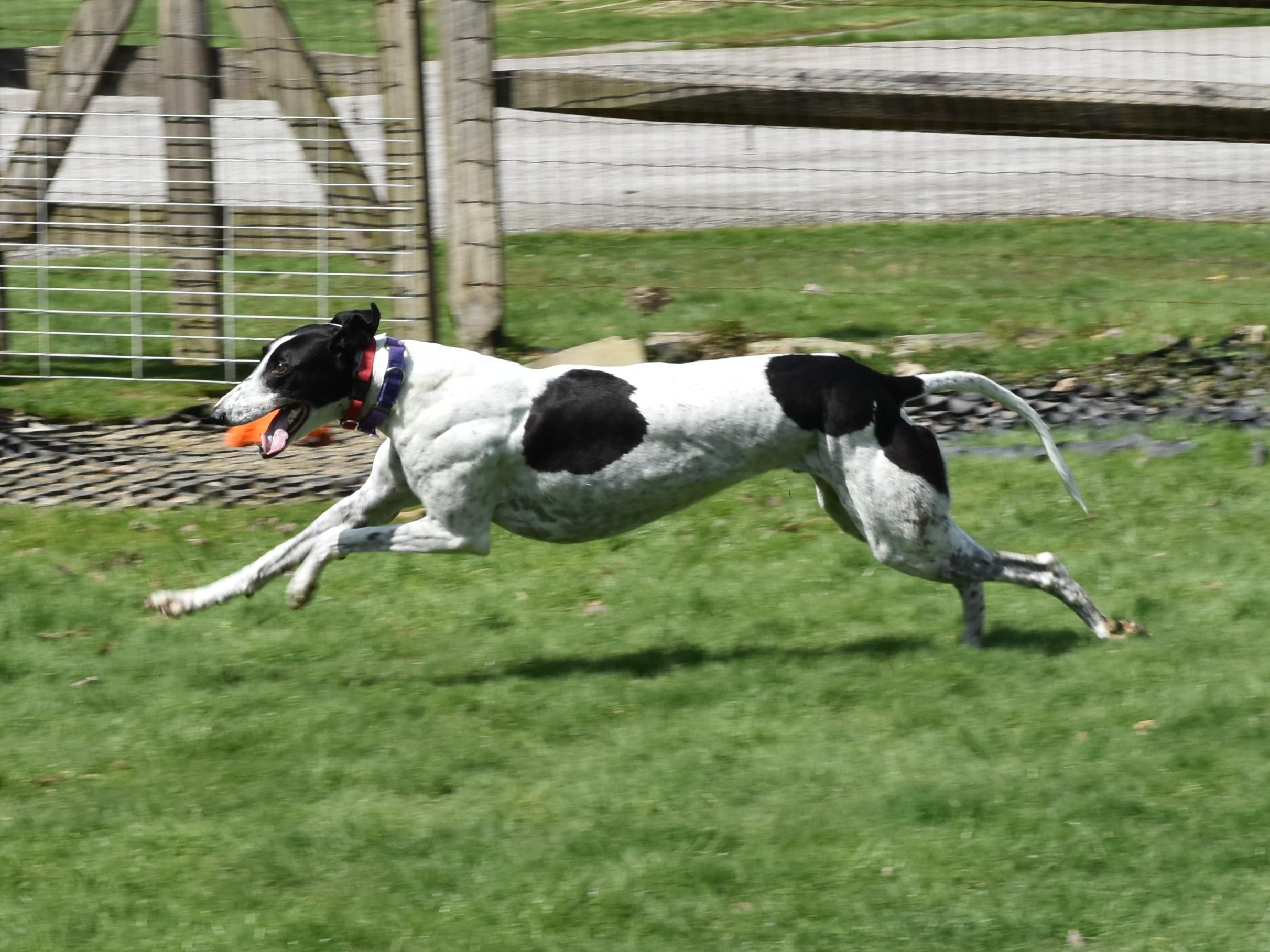 Wembanyama "bones" thumbnail 3