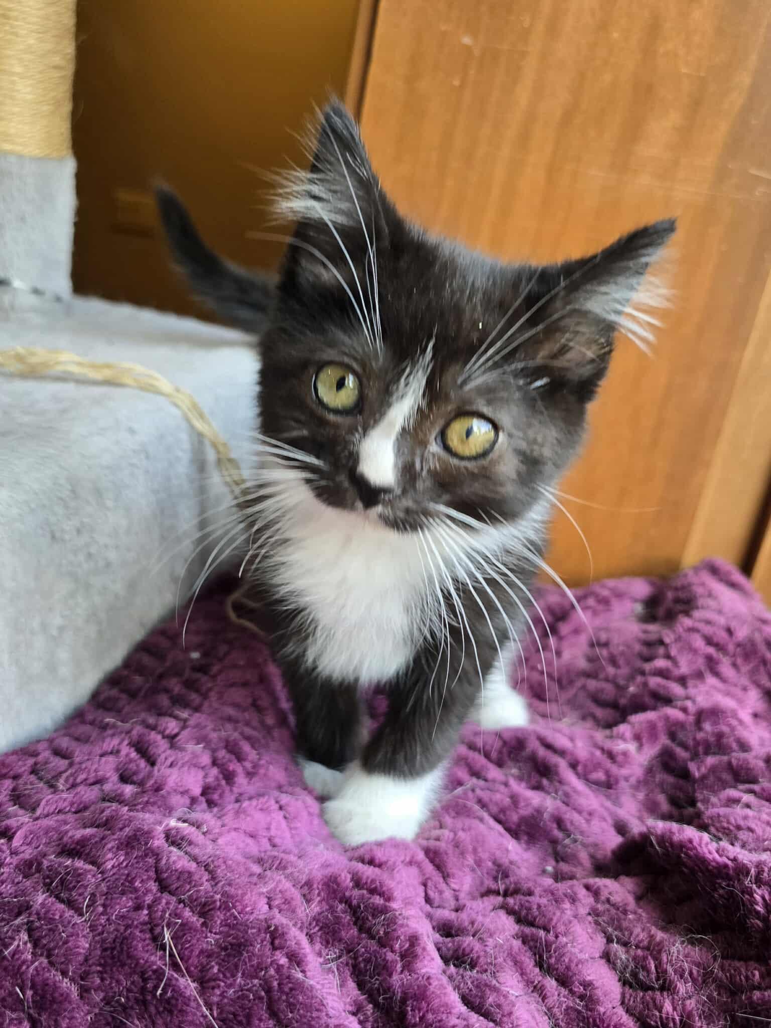 Roscoe Claire, Baby Female unknown