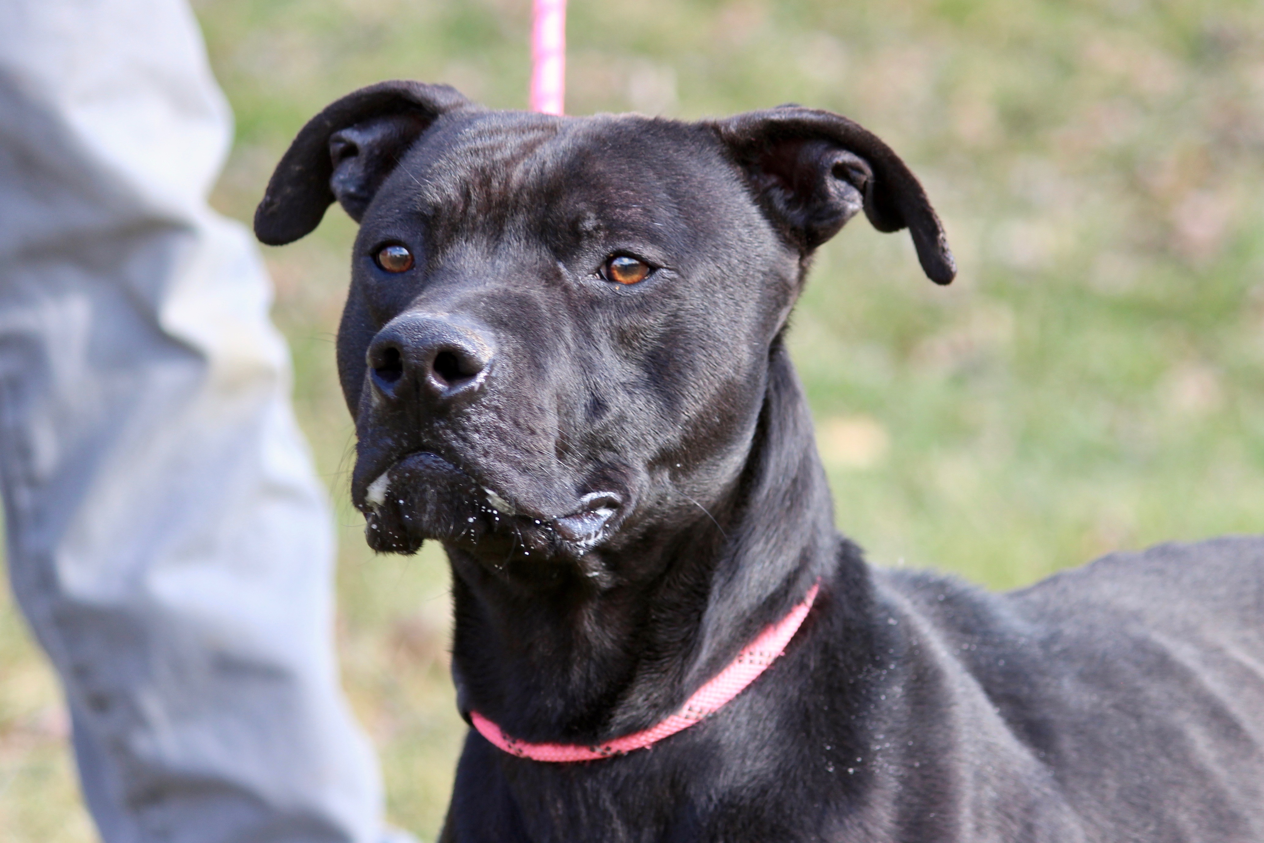 BLAZER — thumbnail 3