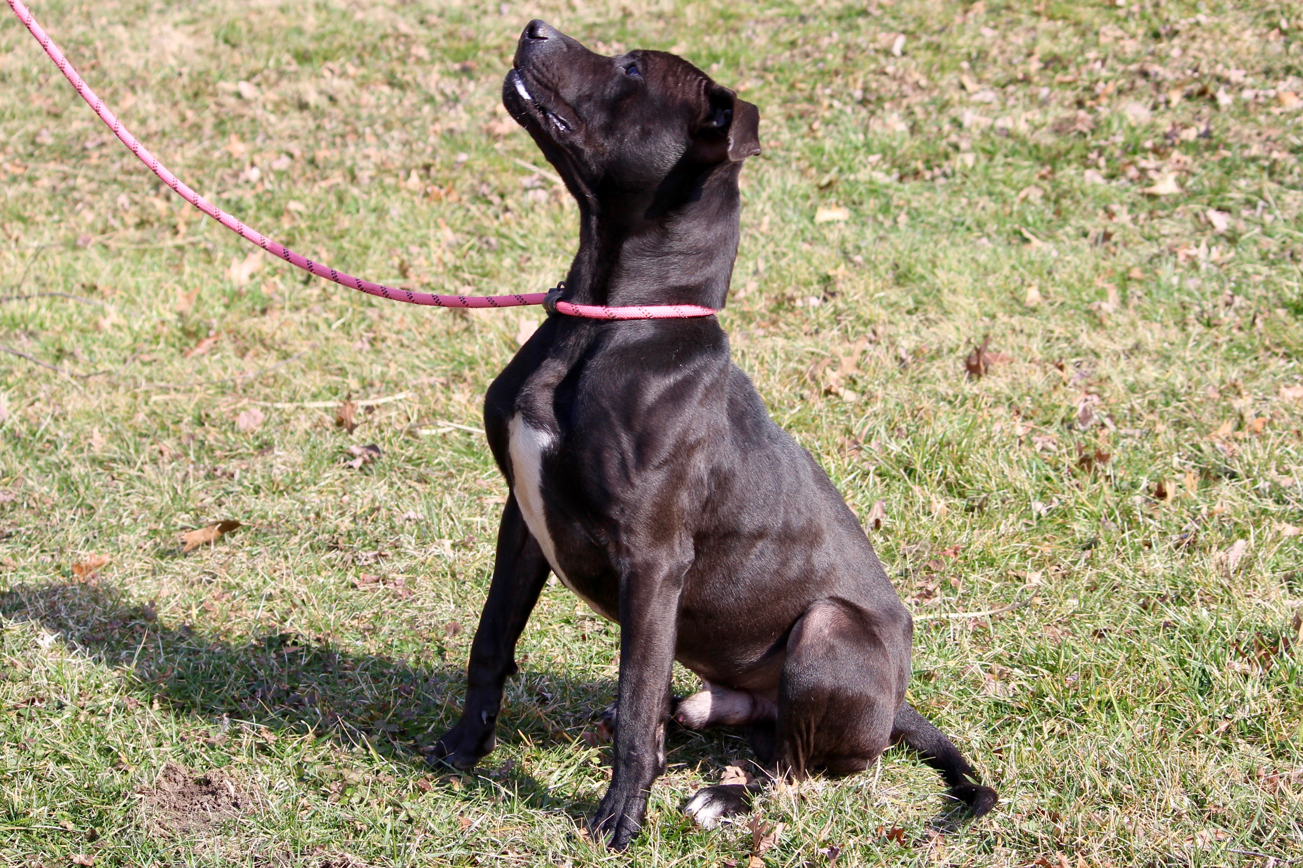 BLAZER — thumbnail 4