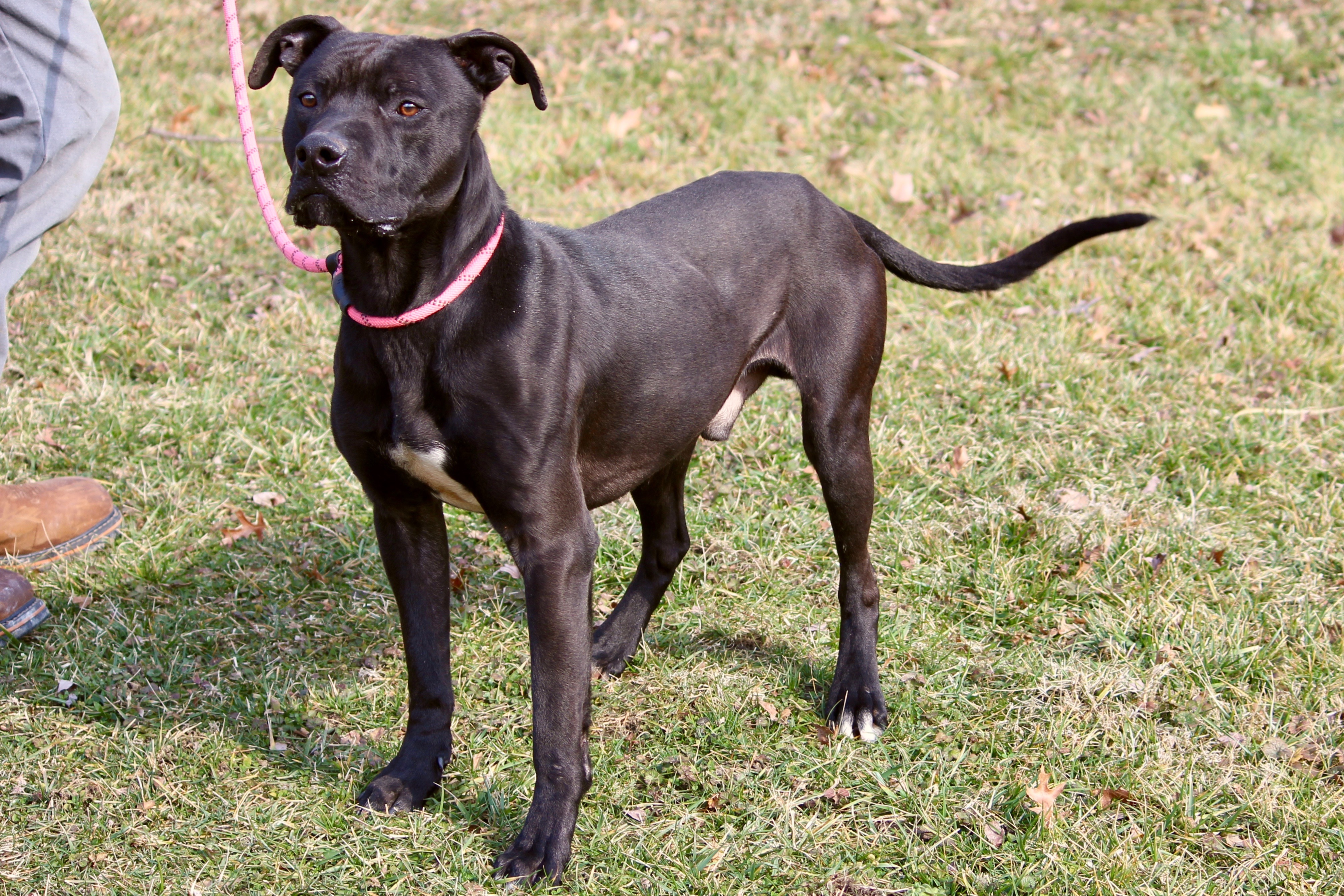 BLAZER — thumbnail 5