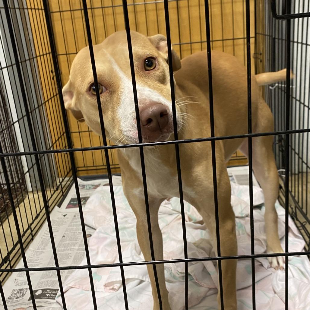 Tessa  T thumbnail 3