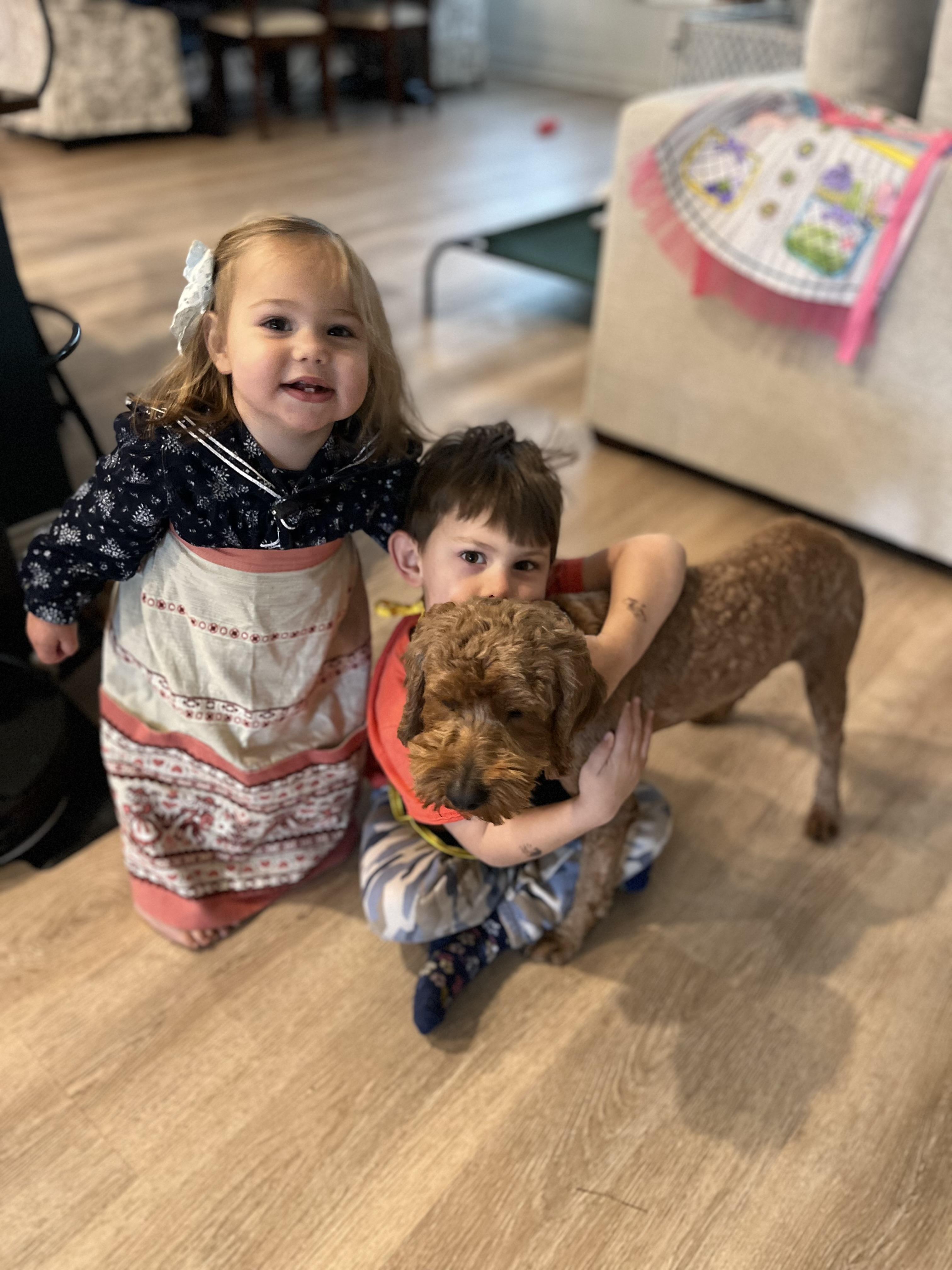 Enlarge Winston, a ADOPTABLE mixed breed in Mt Pleasant, SC image 3/6