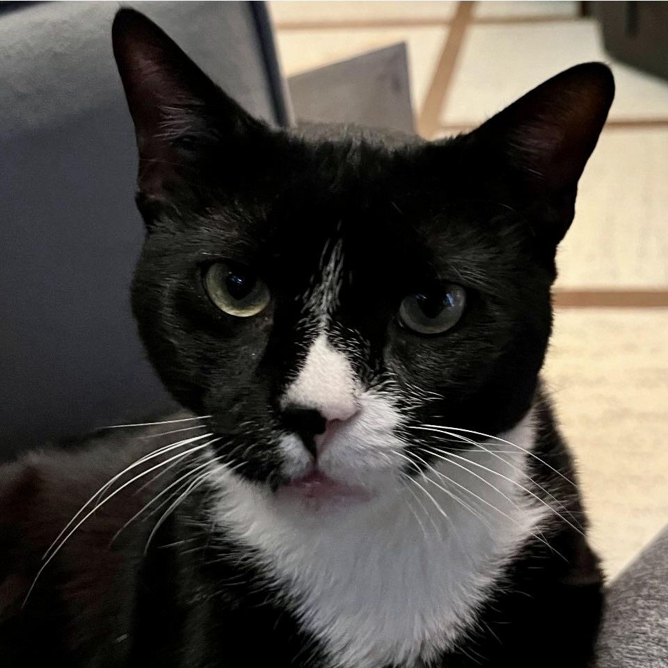 Binx