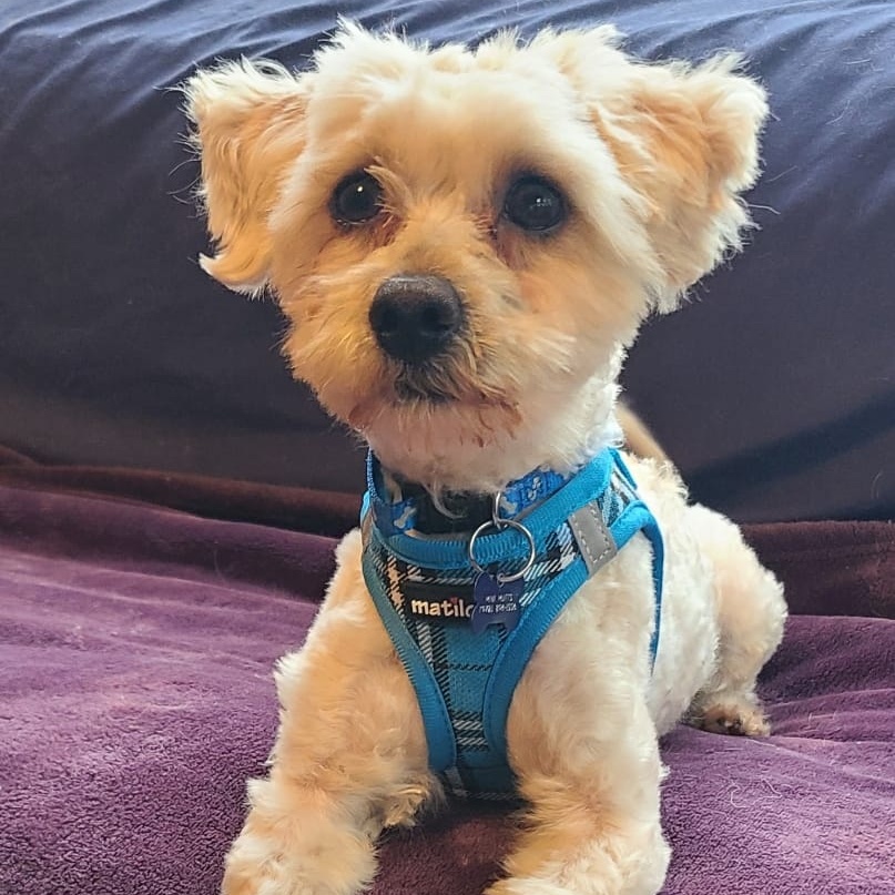 SAMMY