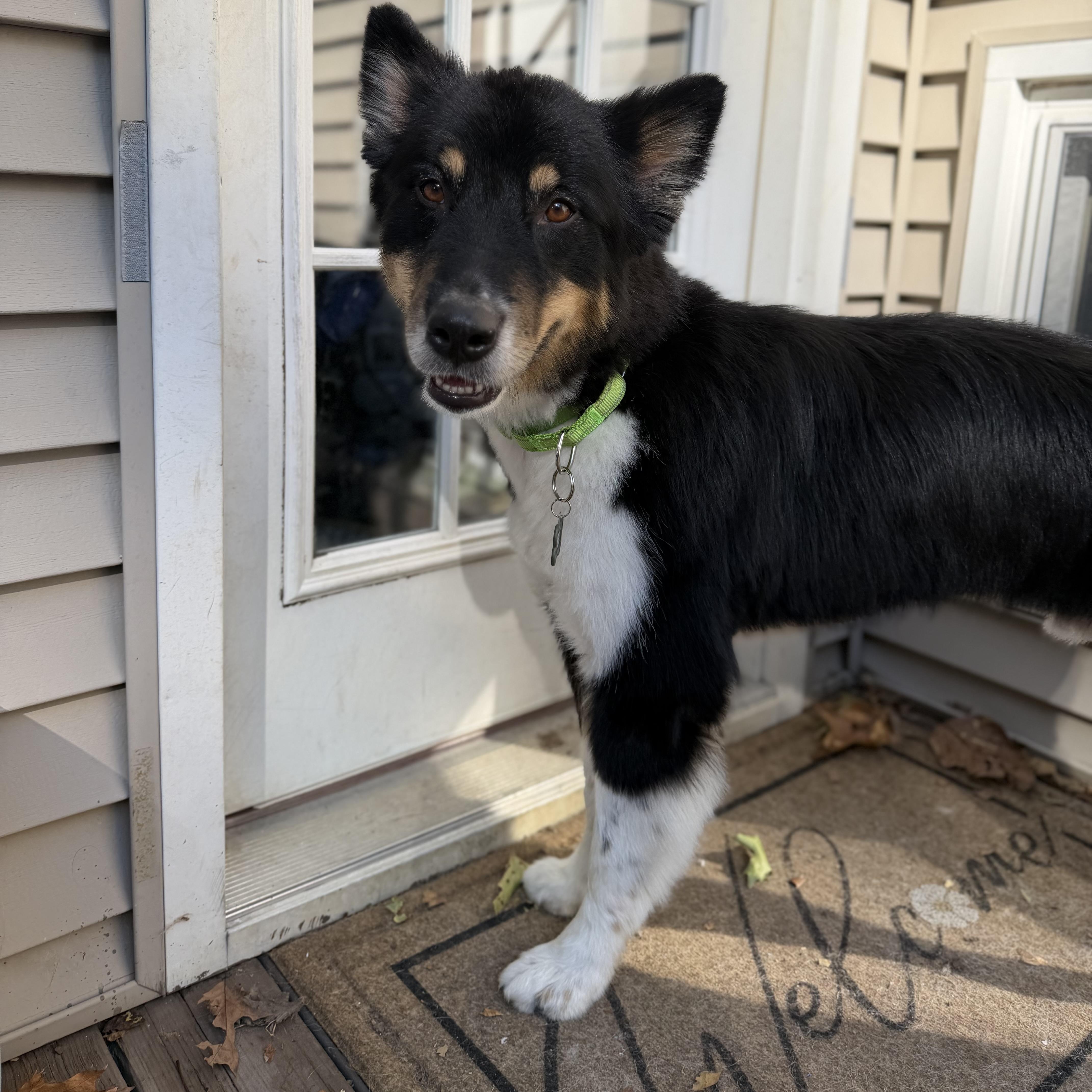 Kooper photo