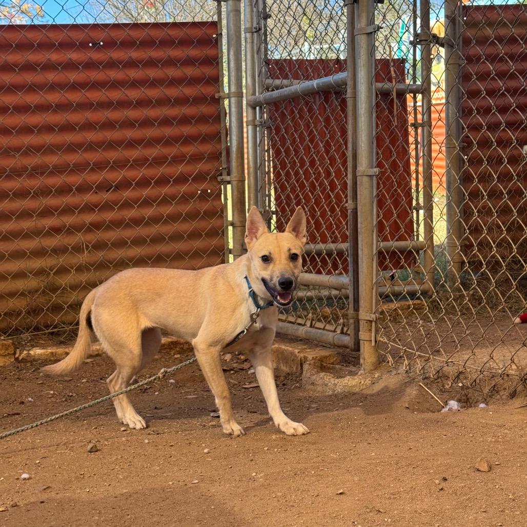 Bubble Yum thumbnail 4