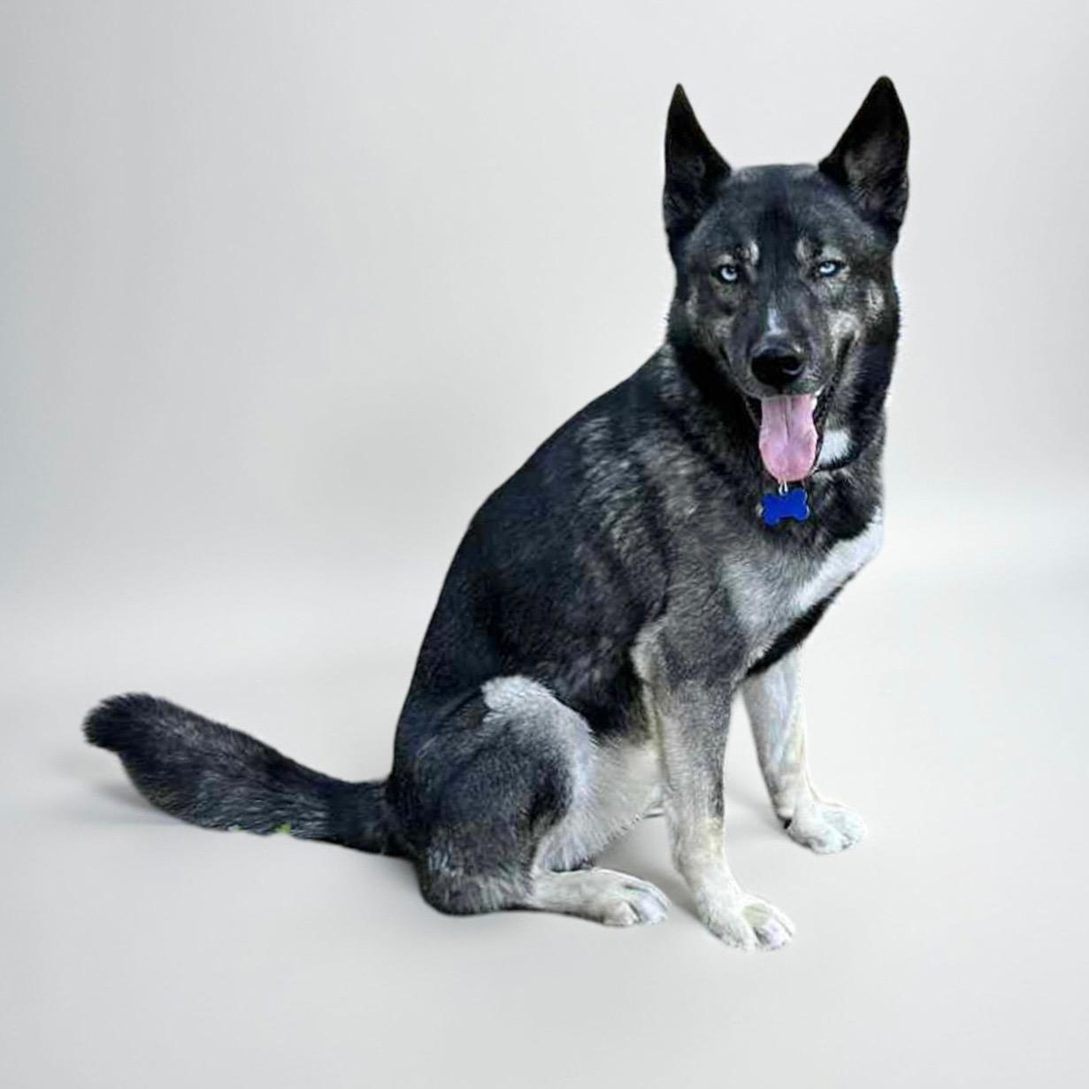 Jaxson photo 2