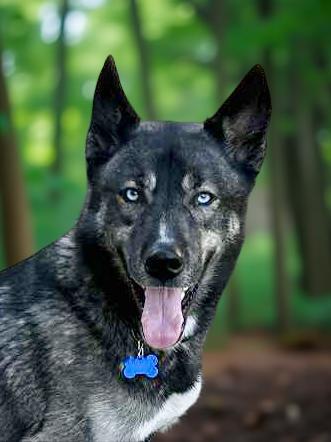 Jaxson photo 3