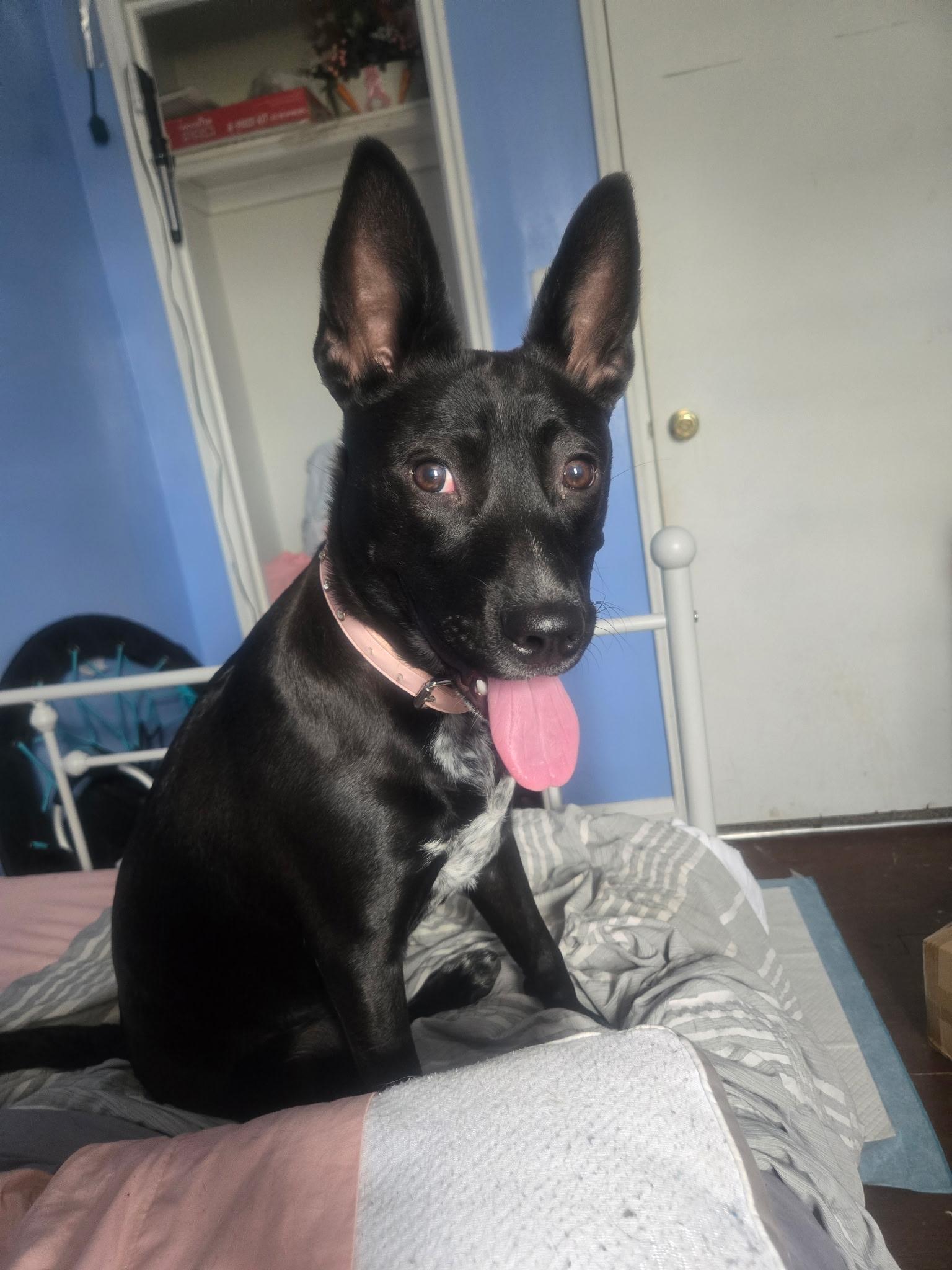 Missy photo 2