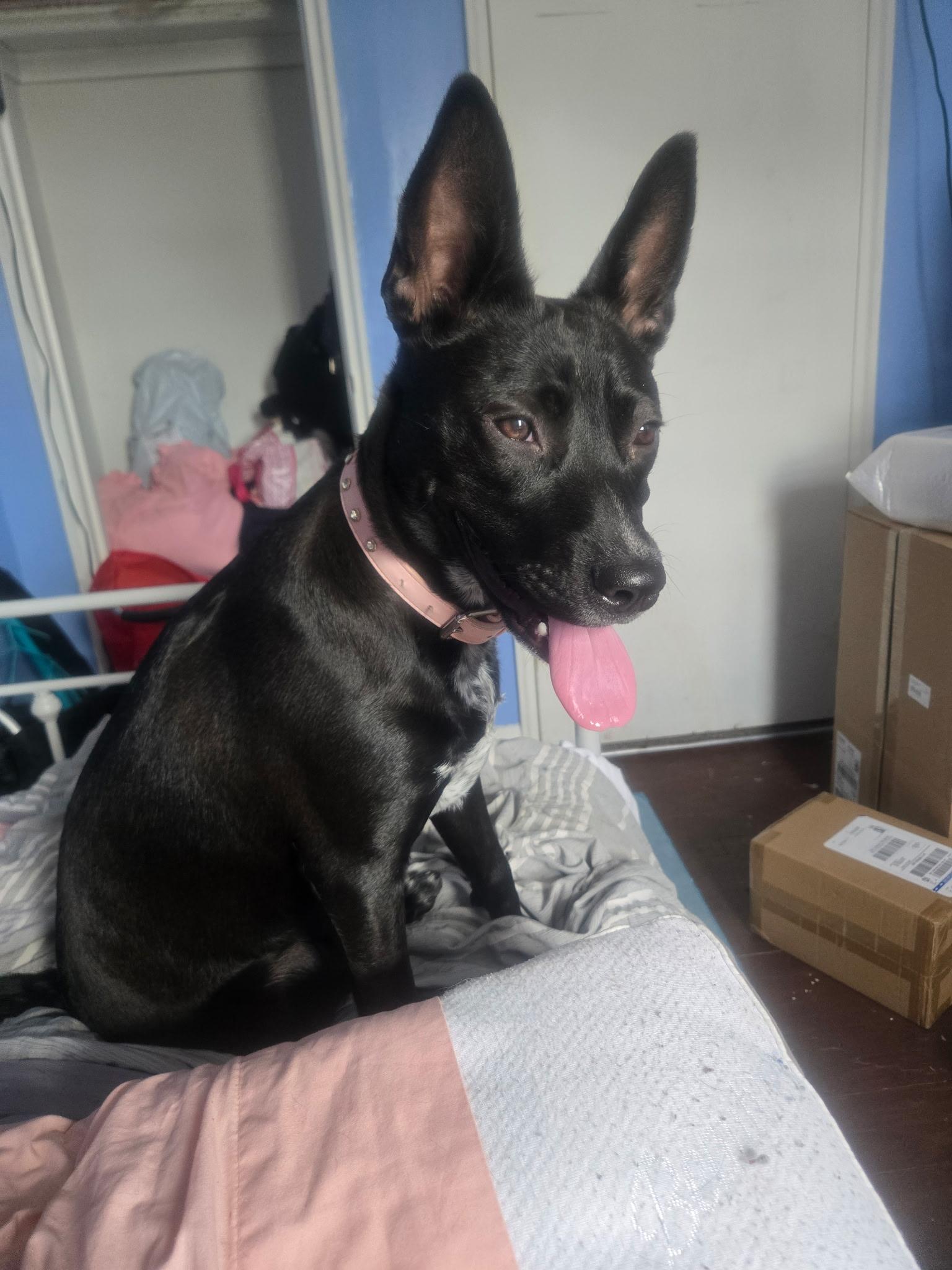 Missy photo 1