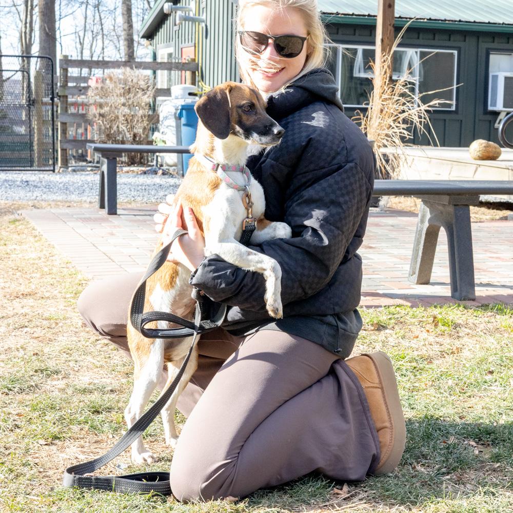 Enlarge Peaches (Female)   , a Adoptable mixed breed in West Grove, PA image 6/6