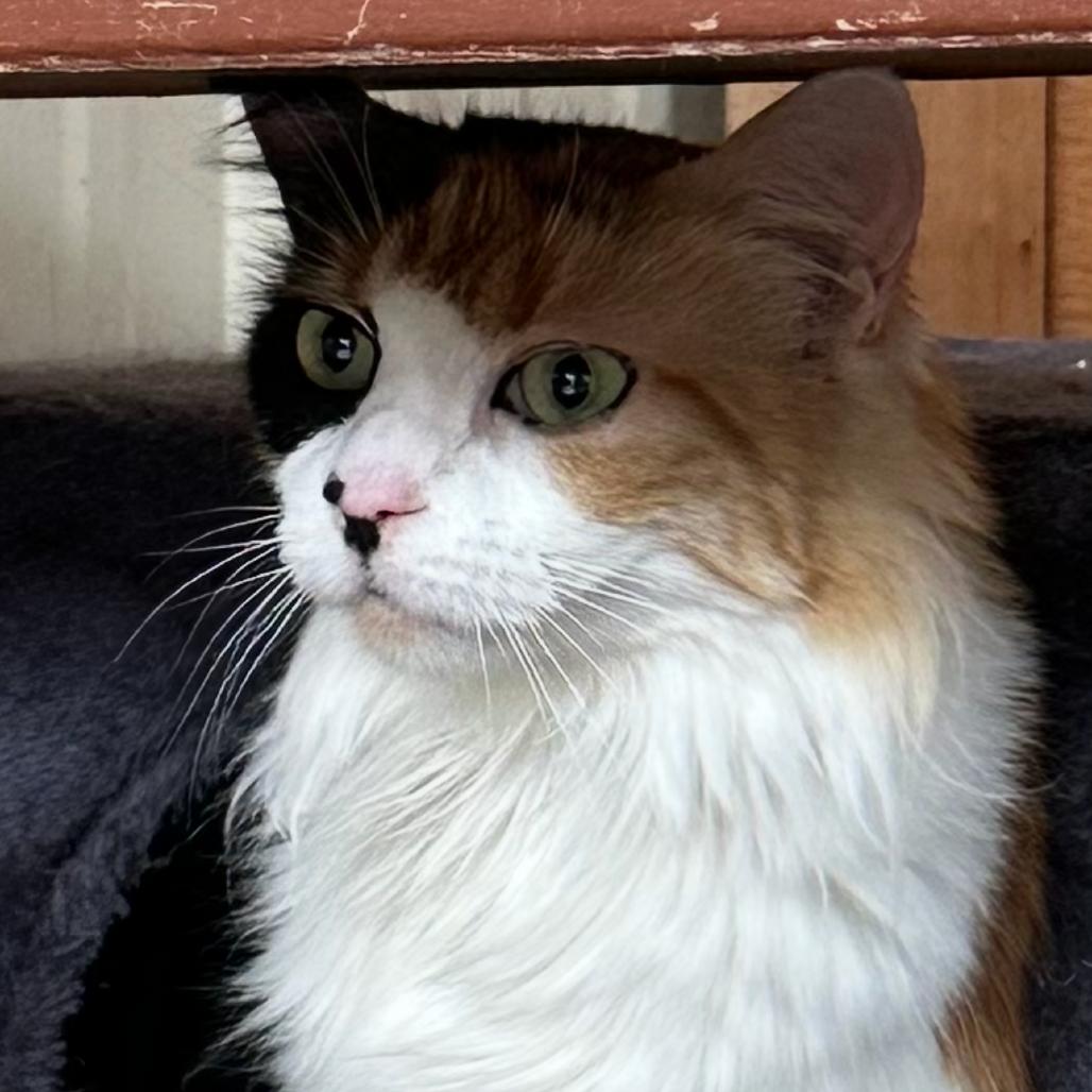 Zita — thumbnail 2