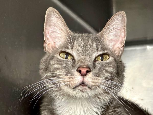 Marni — thumbnail 3