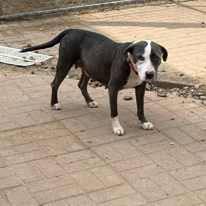 Selma
