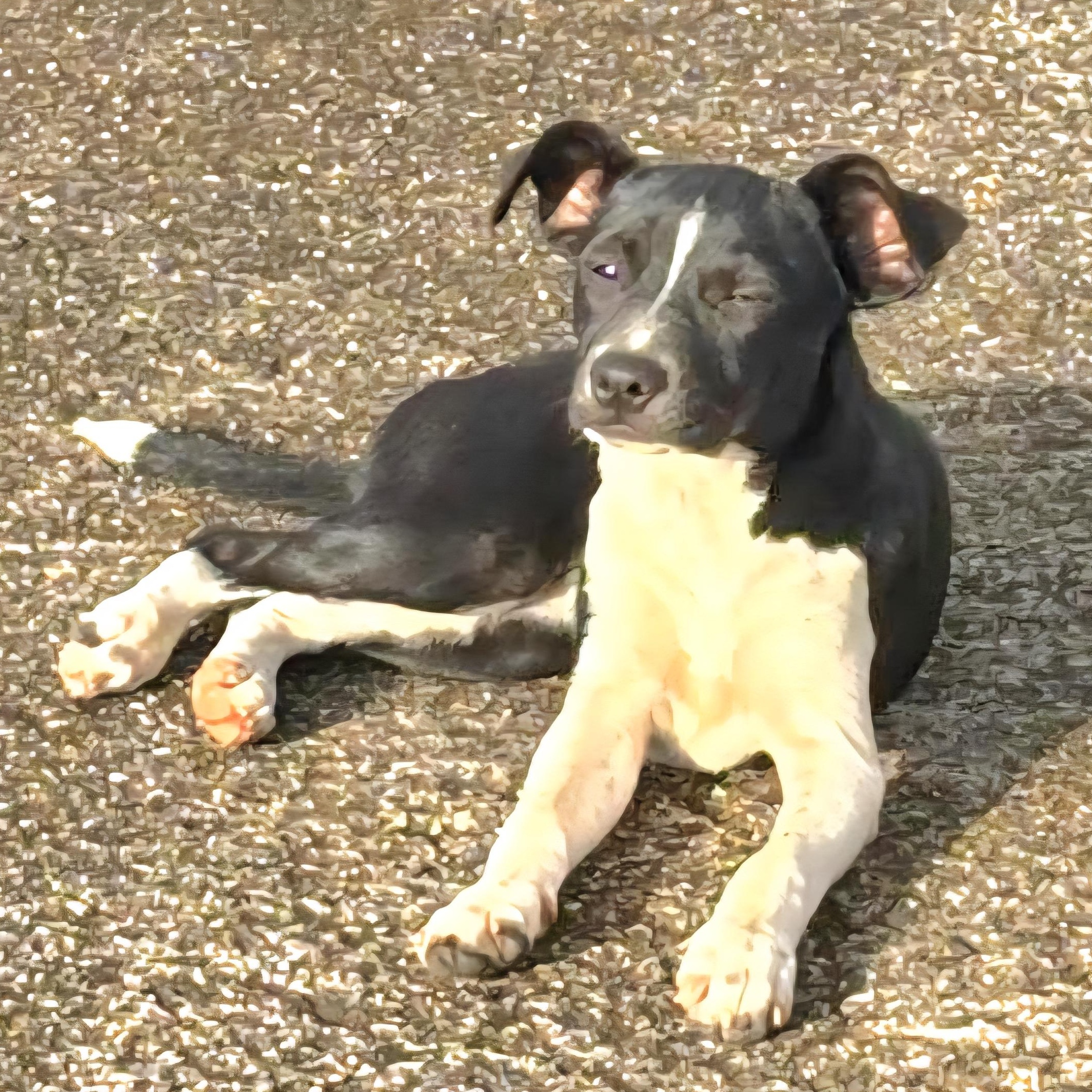 Daisy June "i Will thumbnail 2