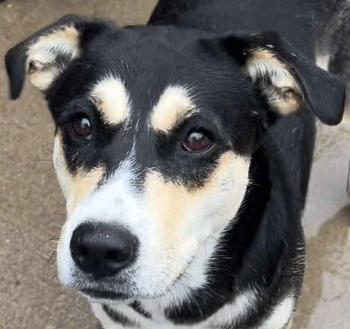 Karma Aka Yomi thumbnail 2