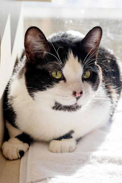 Energy — thumbnail 2