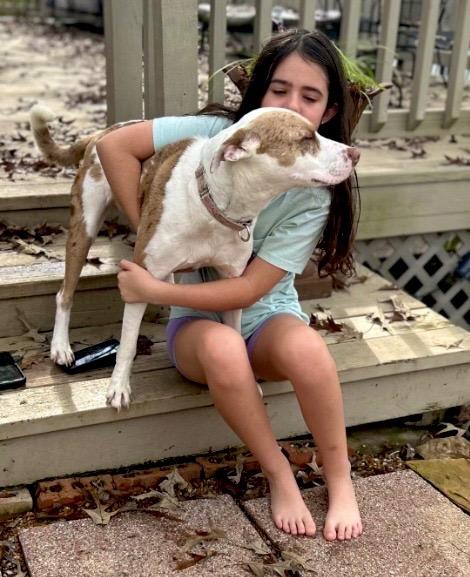 Enlarge Kady, a Adoptable mixed breed in Princeton, MA image 3/6