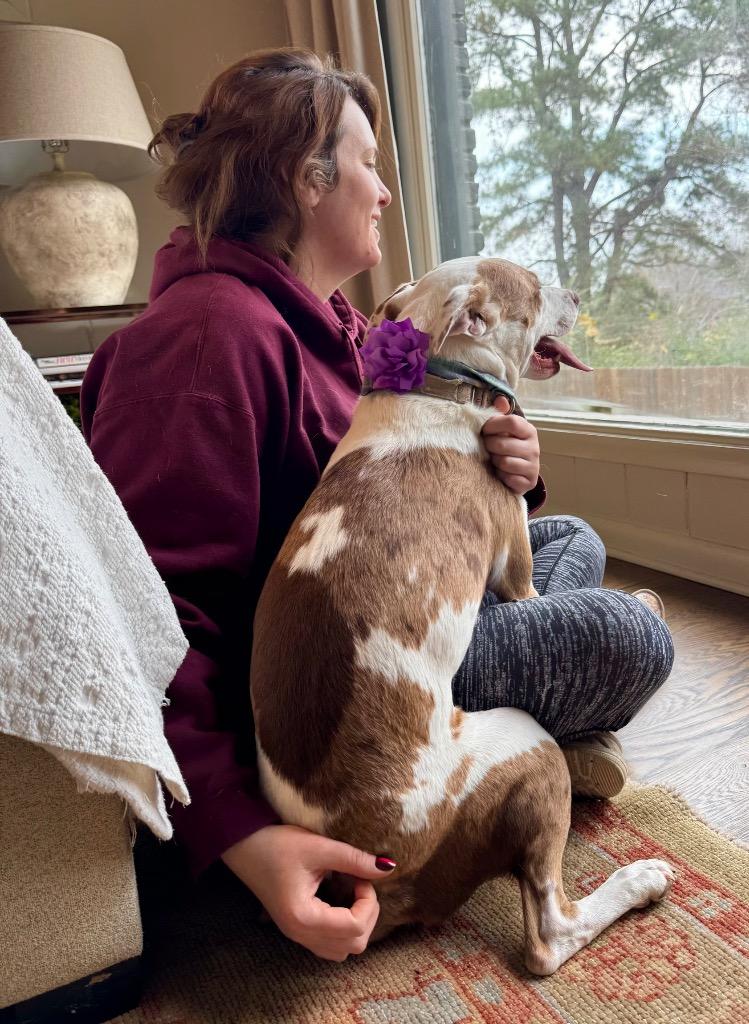 Enlarge Kady, a Adoptable mixed breed in Princeton, MA image 6/6