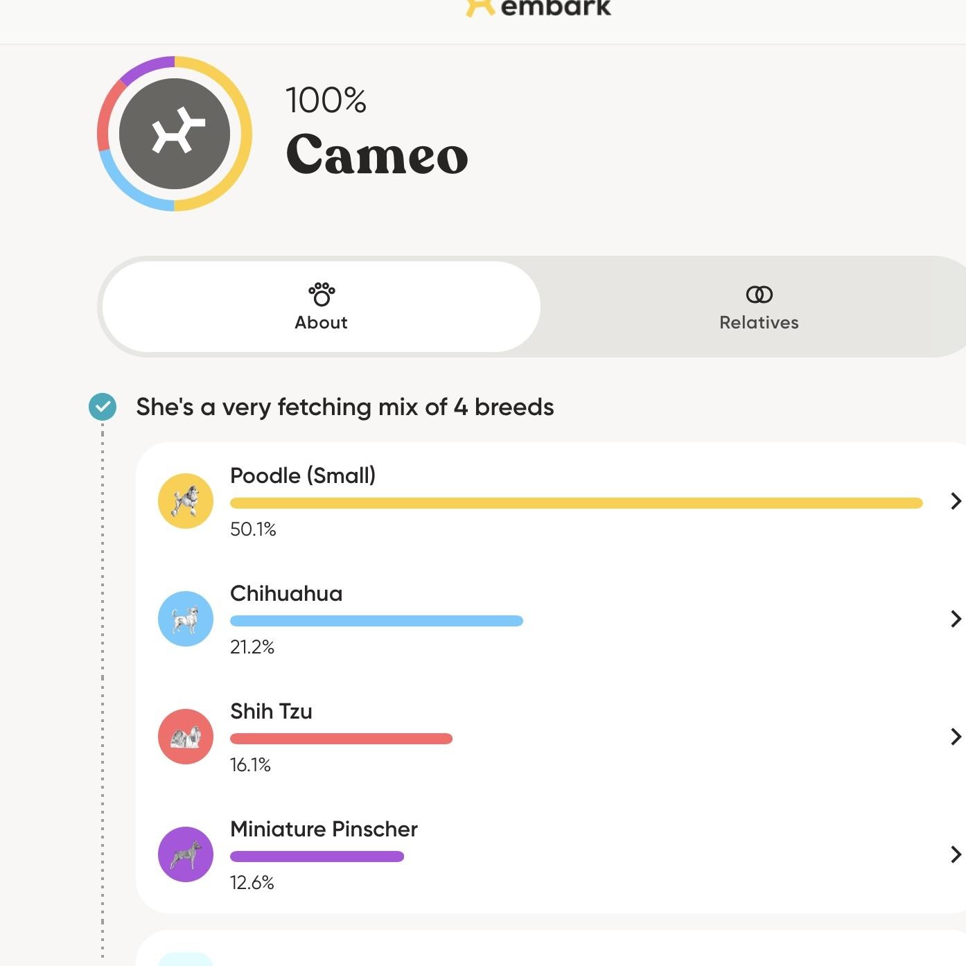 Enlarge CAMEO, an adopted mixed breed in new canaan, CT image 6/6