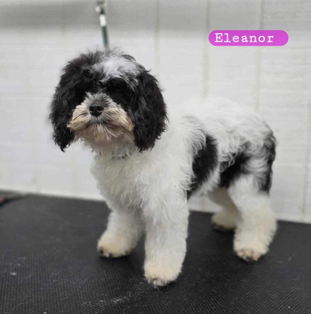 Eleanor