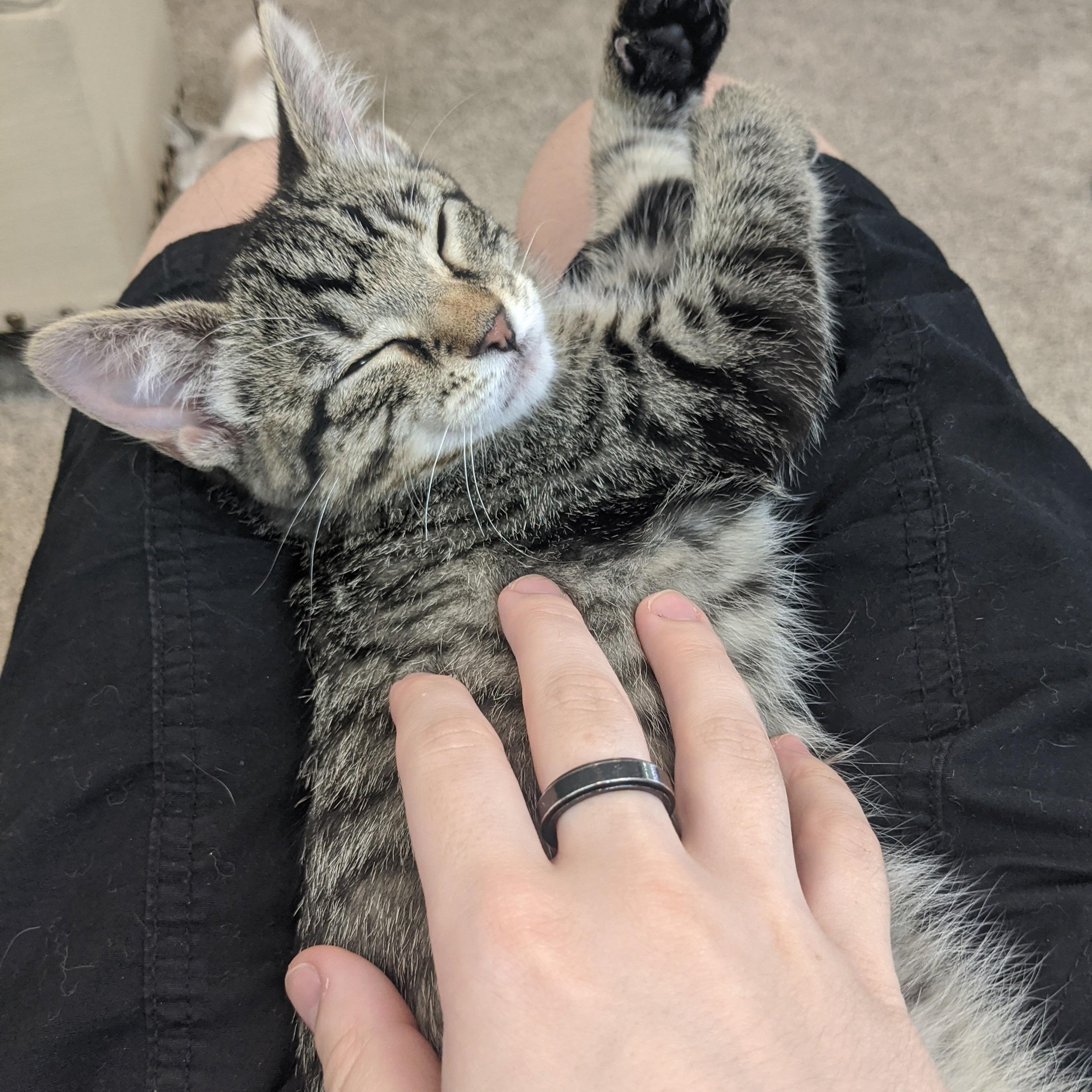 Biscotti