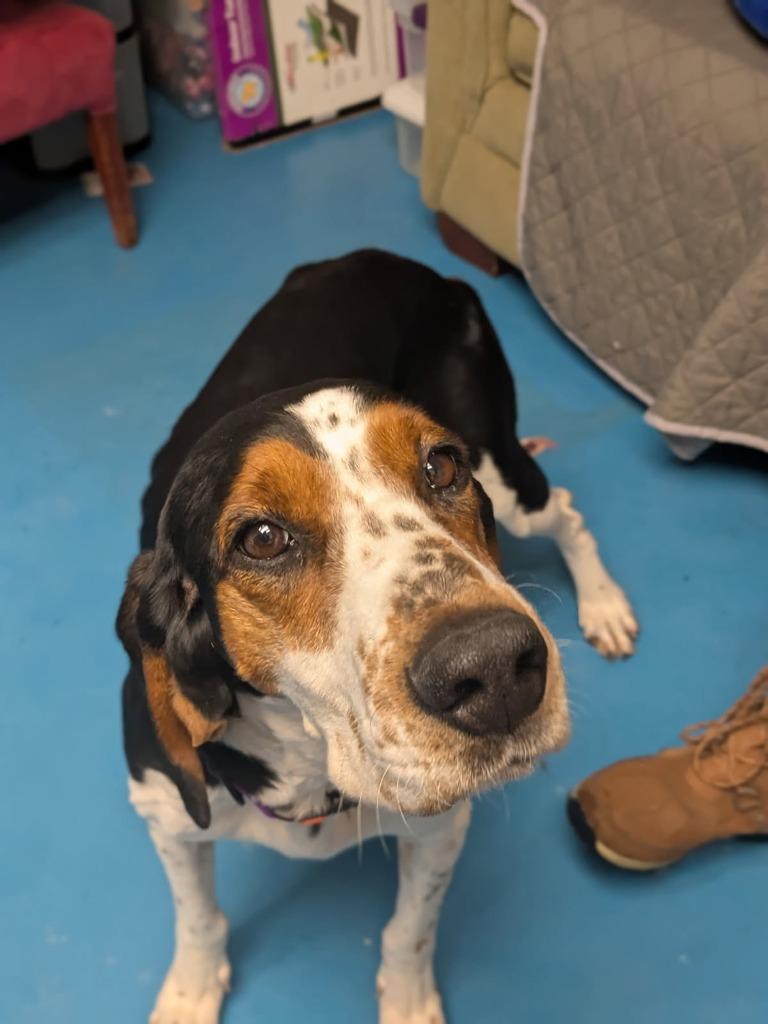 Tallulah thumbnail 2