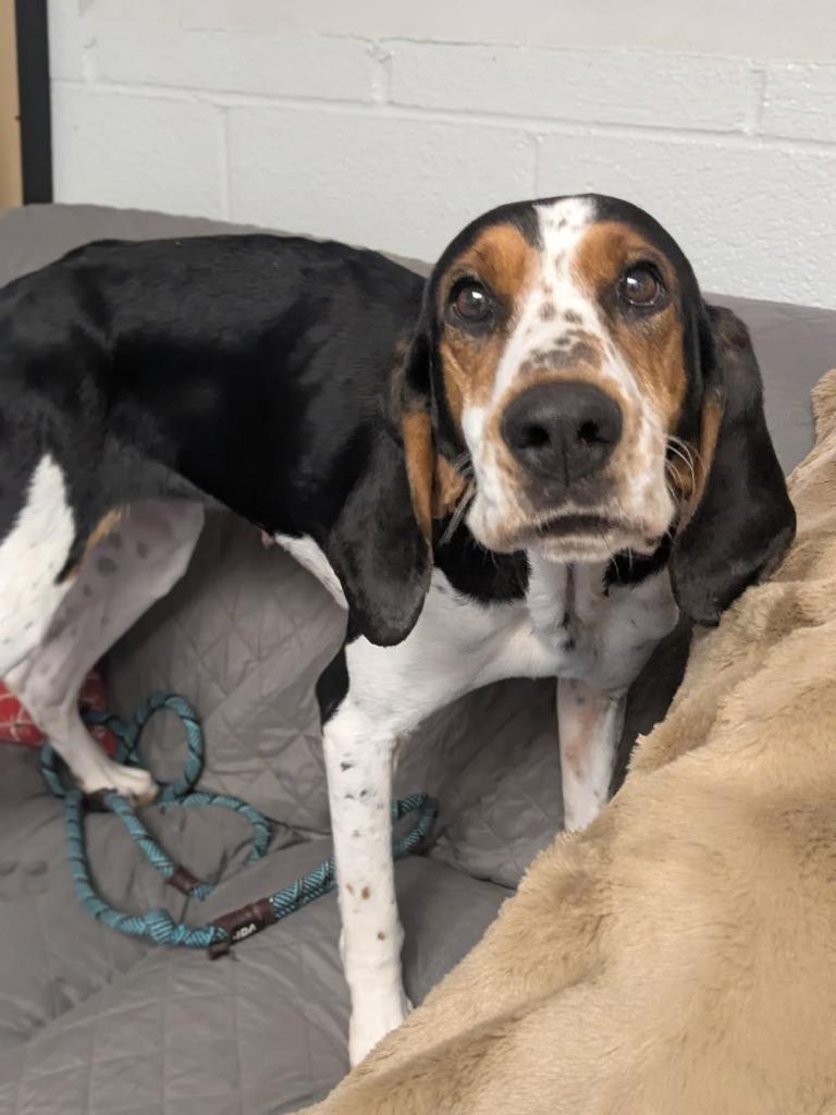 Tallulah thumbnail 3