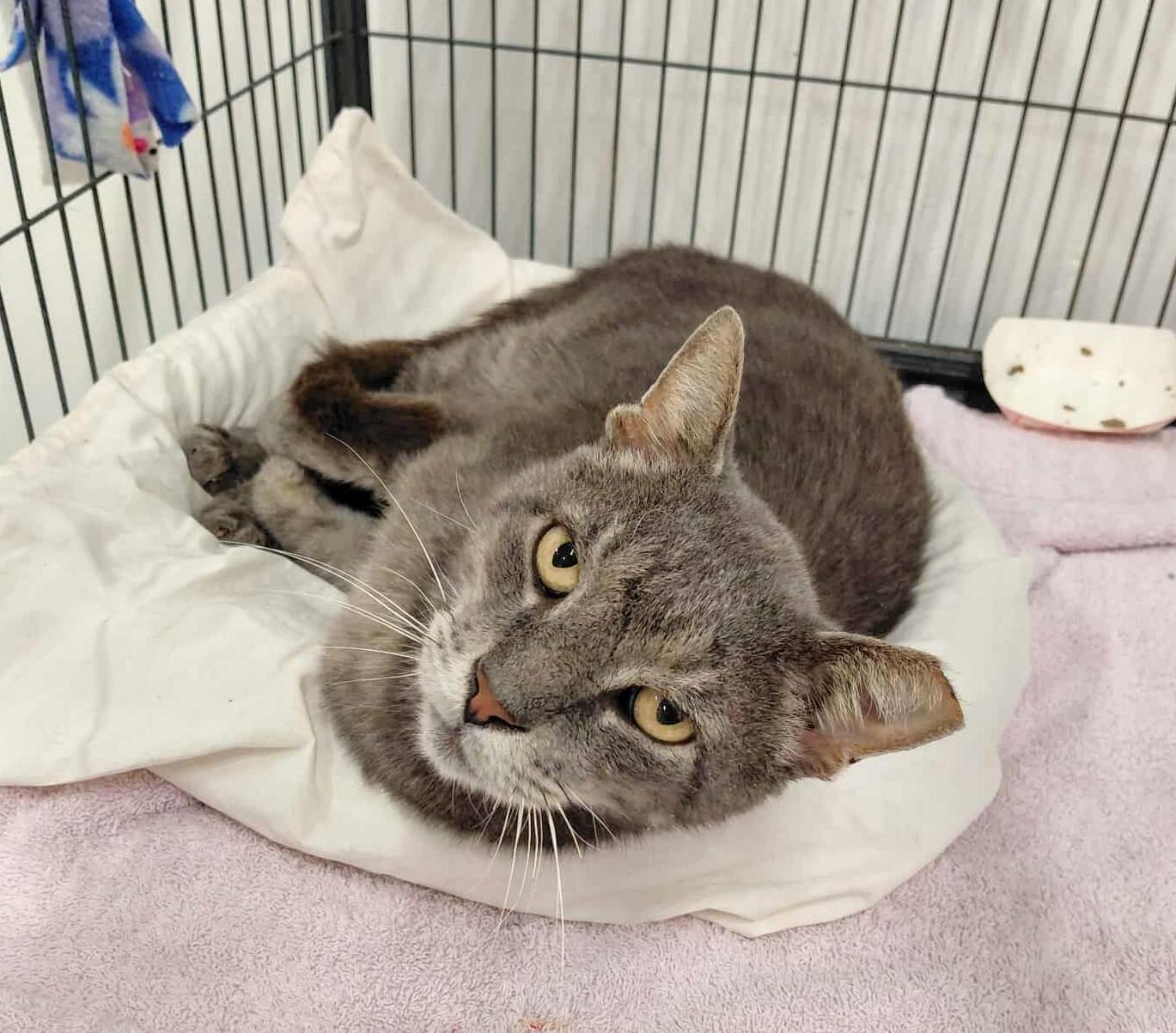 Tom, Senior Male unknown