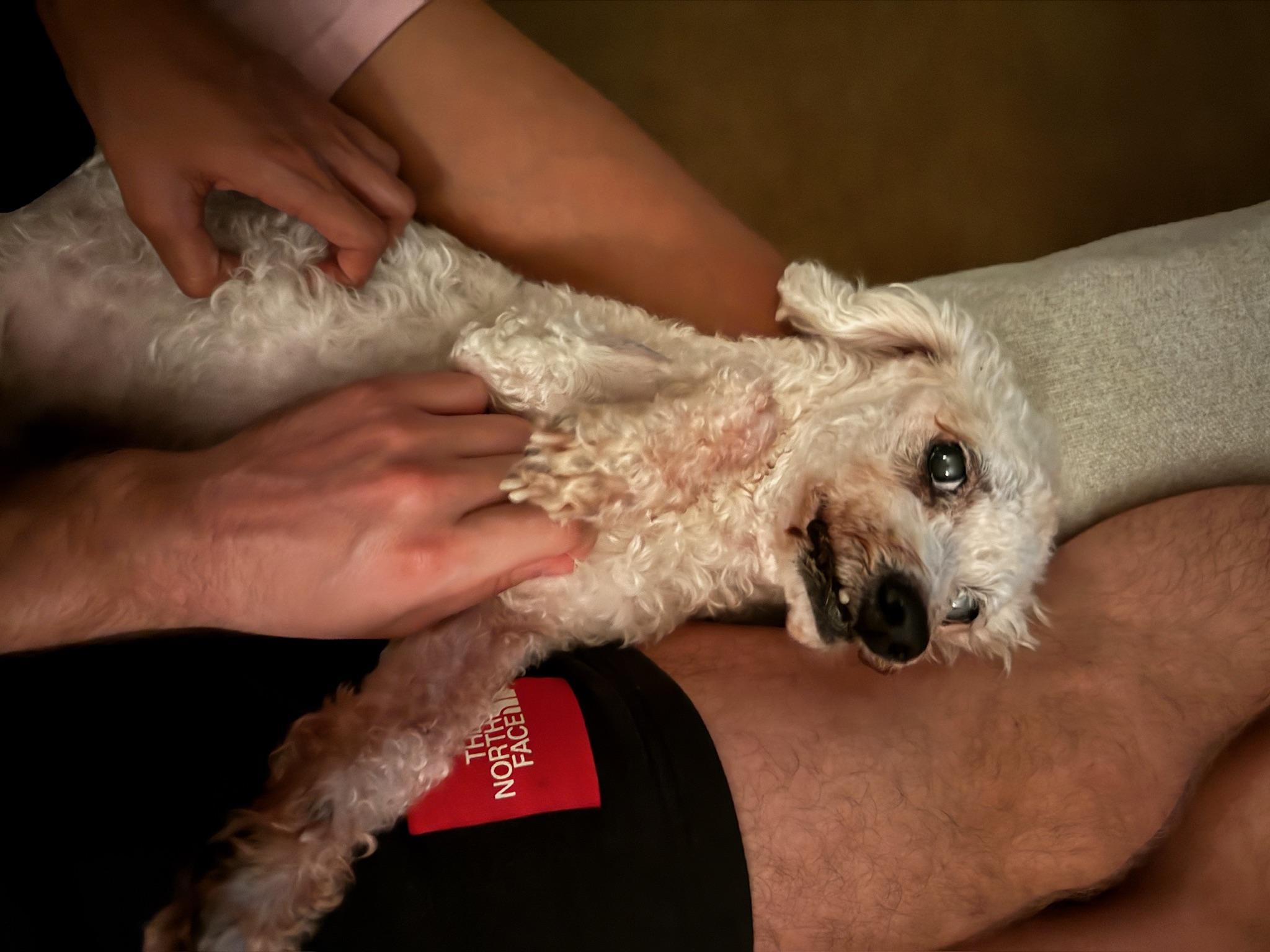 Dean Martin thumbnail 3