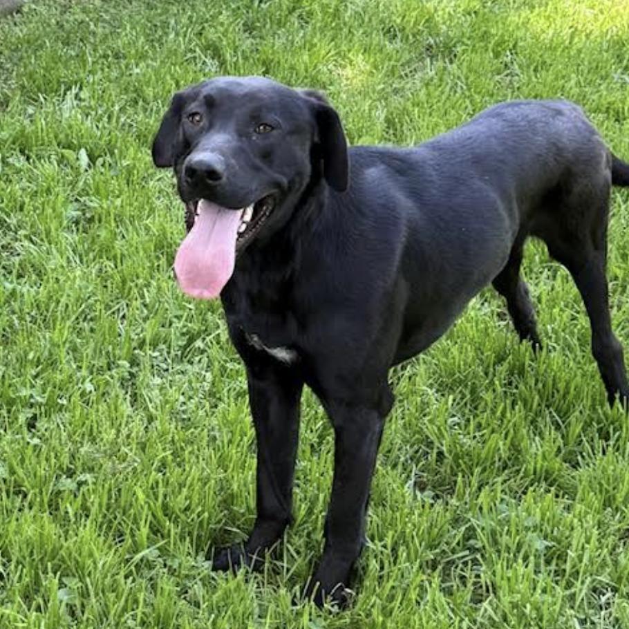 Jett Knox thumbnail 3