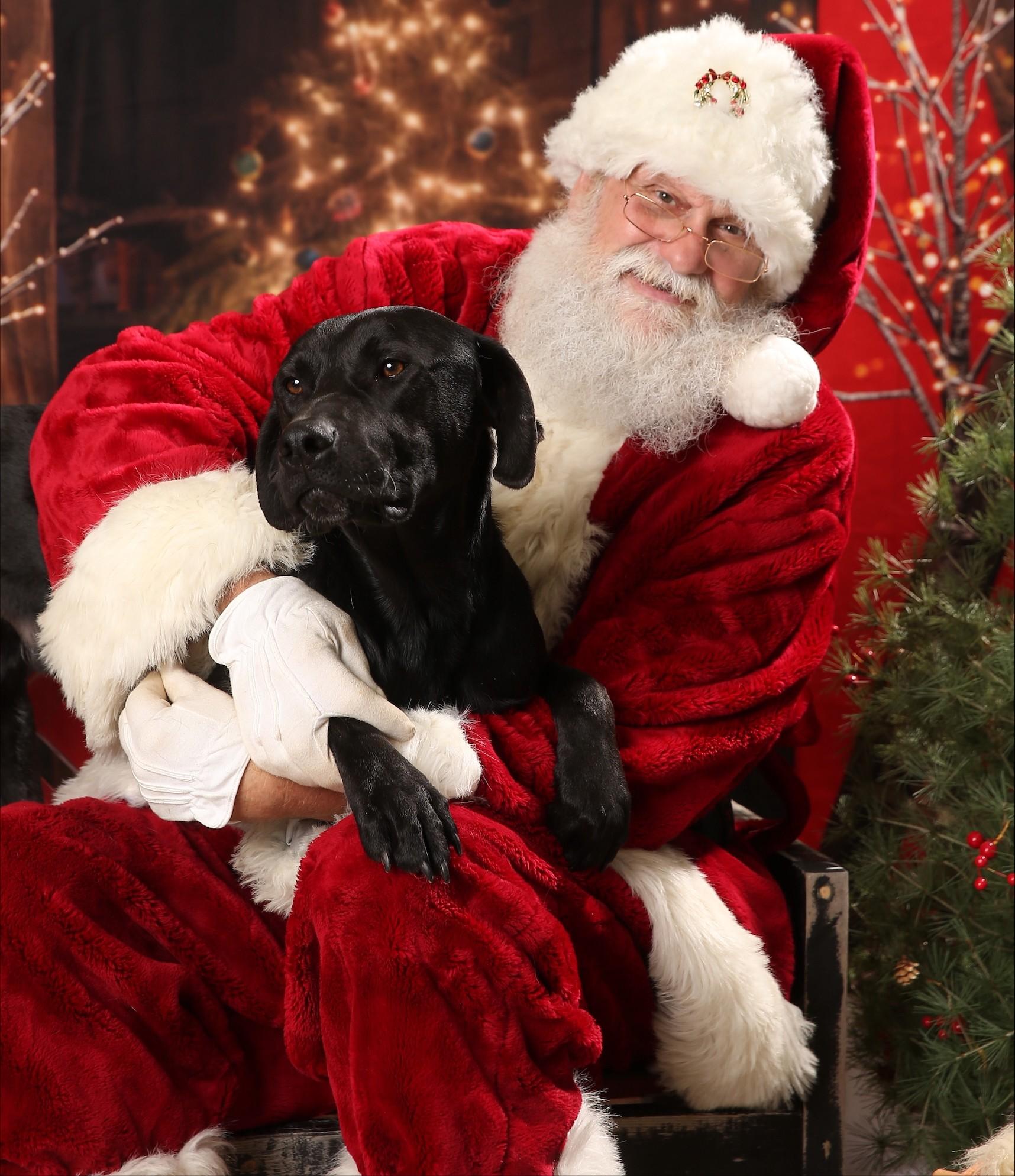 Jett Knox thumbnail 4