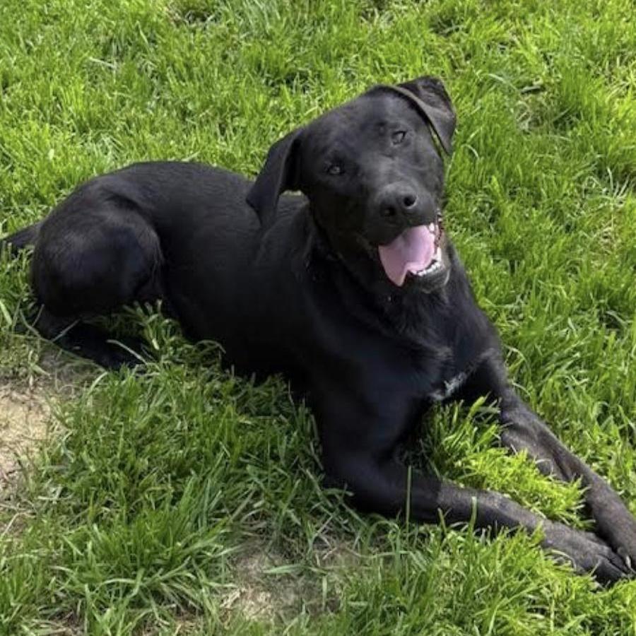 Jett Knox thumbnail 5