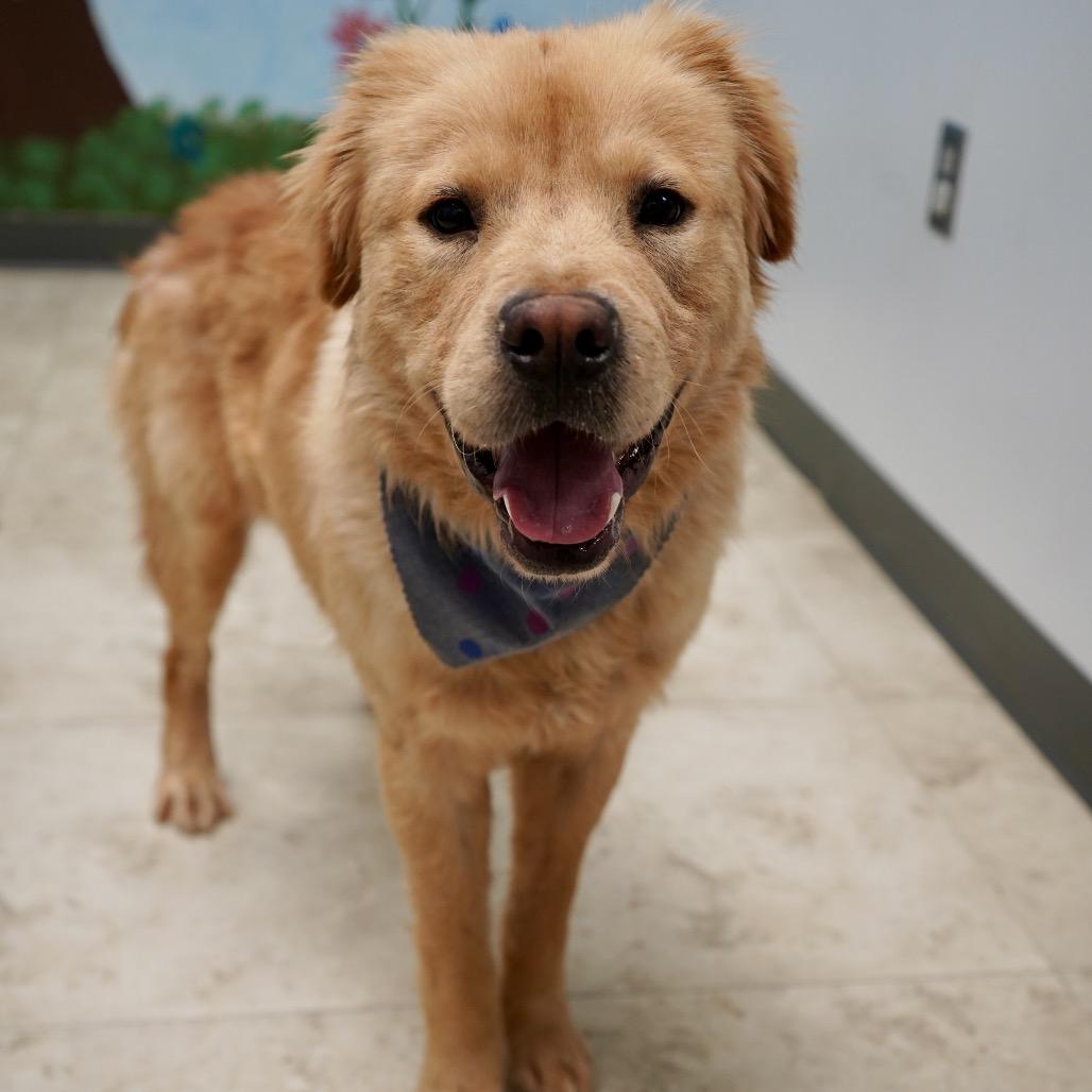 Benny — thumbnail 2